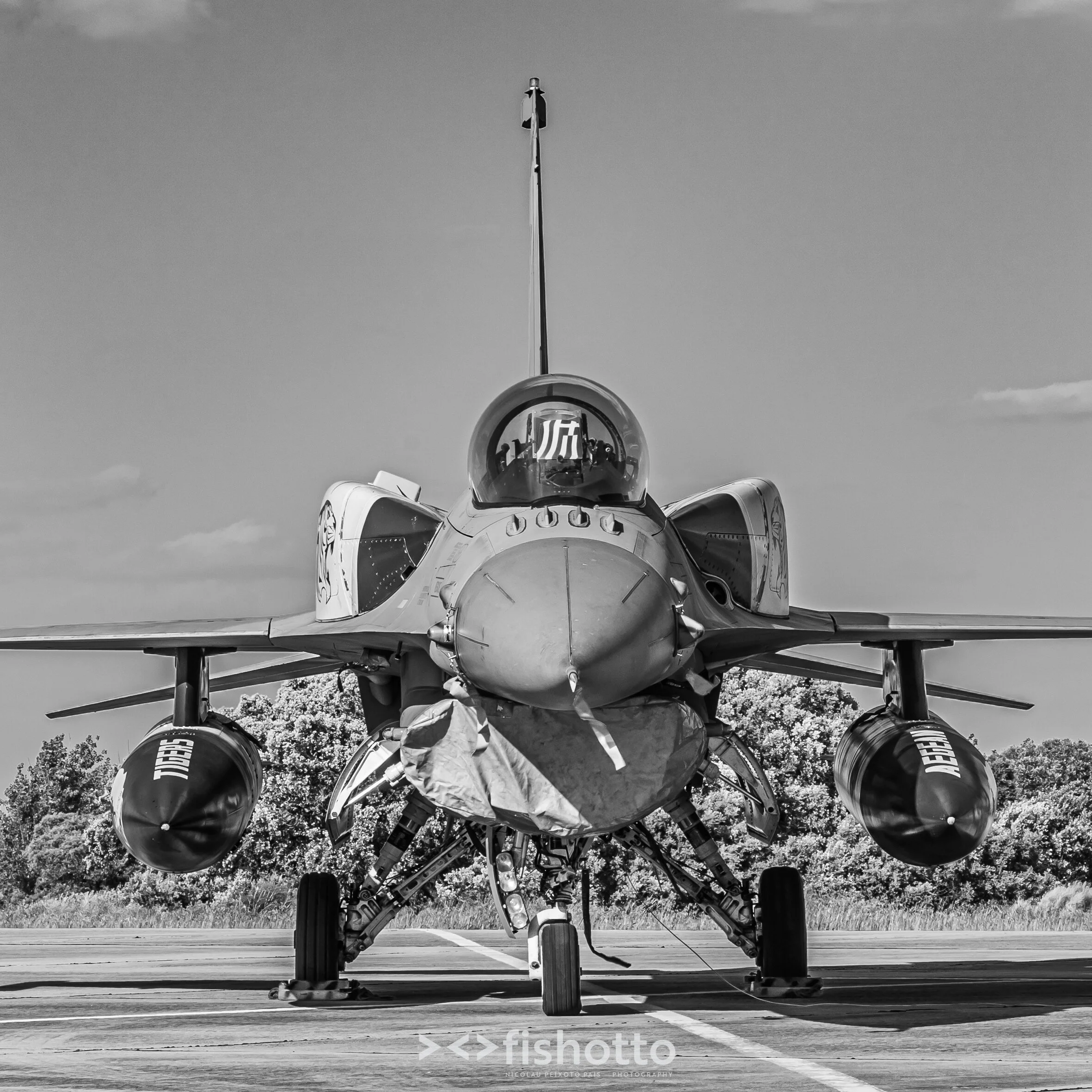 TigerMeet_2021_Best_B&W_2500-101.jpg