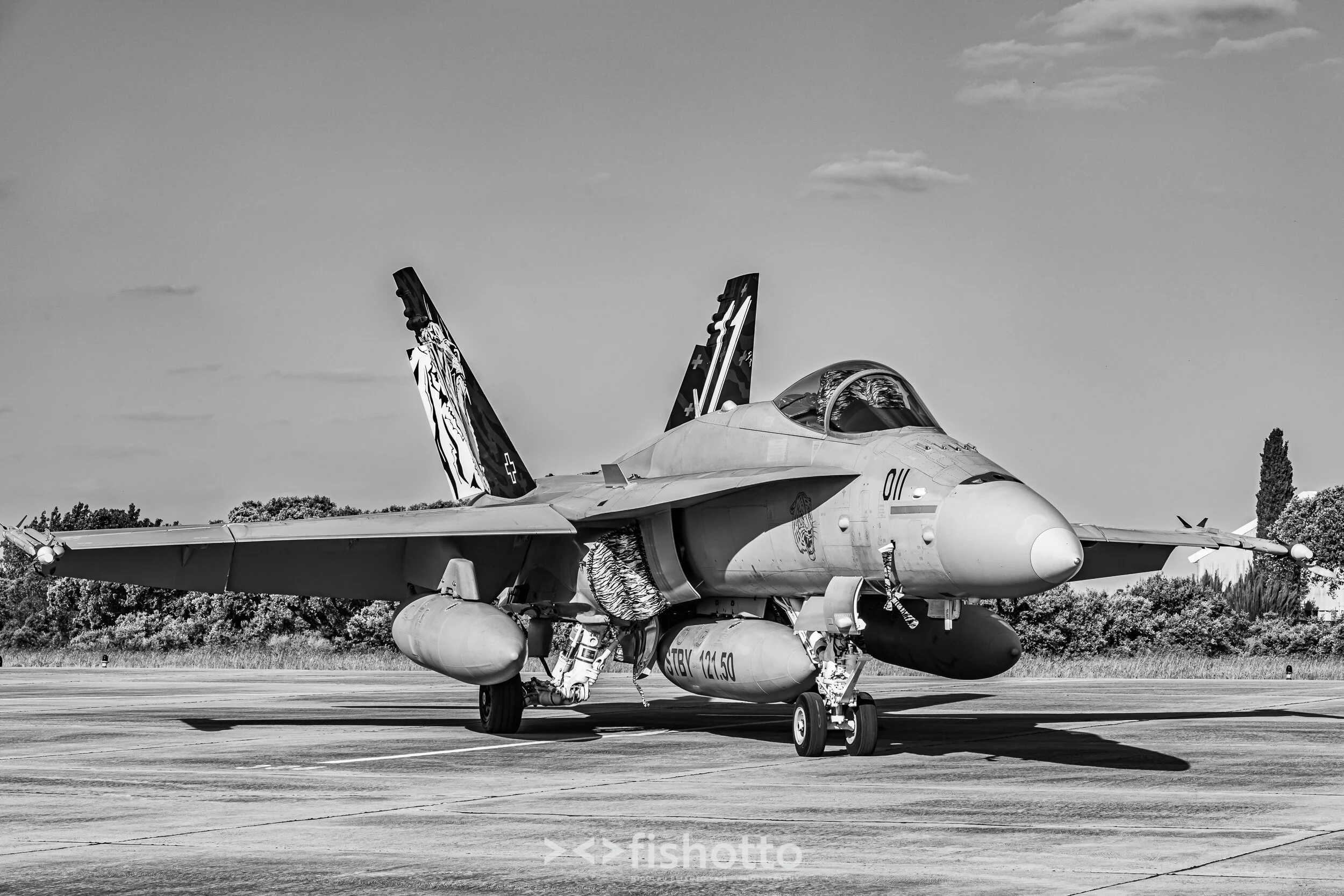 TigerMeet_2021_Best_B&W_2500-104.jpg