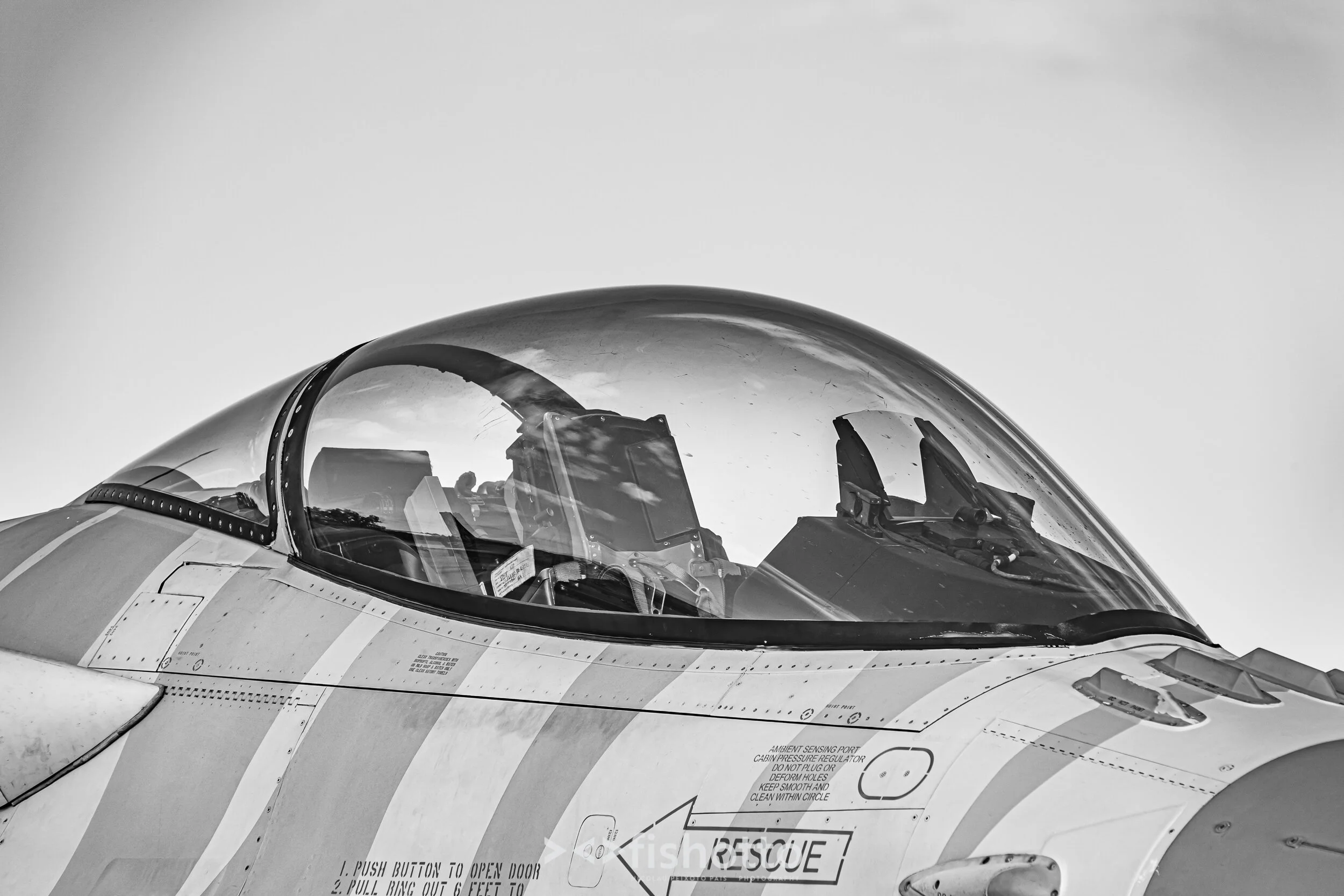 TigerMeet_2021_Best_B&W_2500-106.jpg