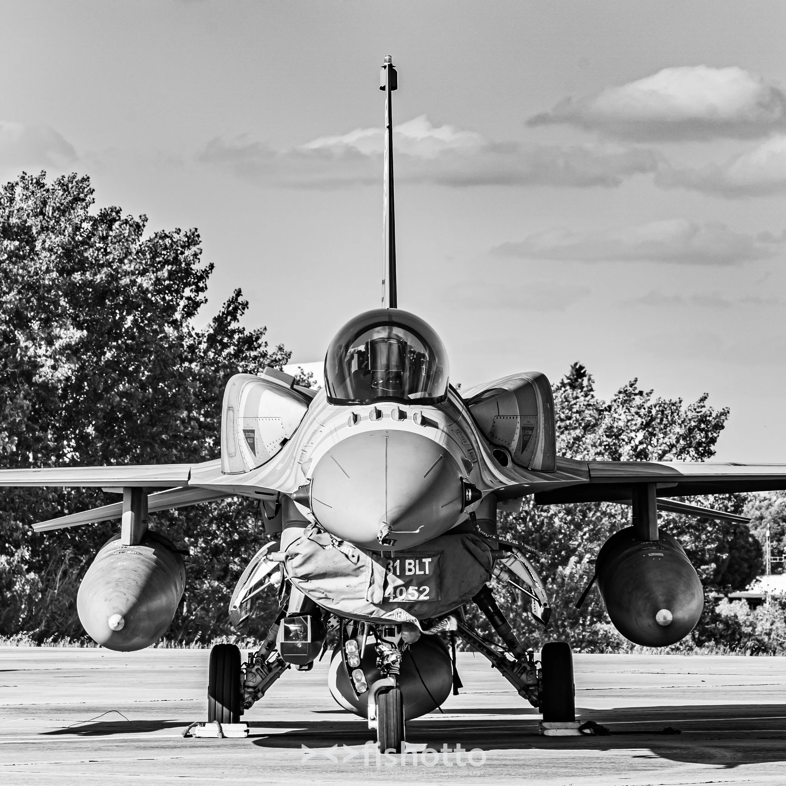 TigerMeet_2021_Best_B&W_2500-105.jpg