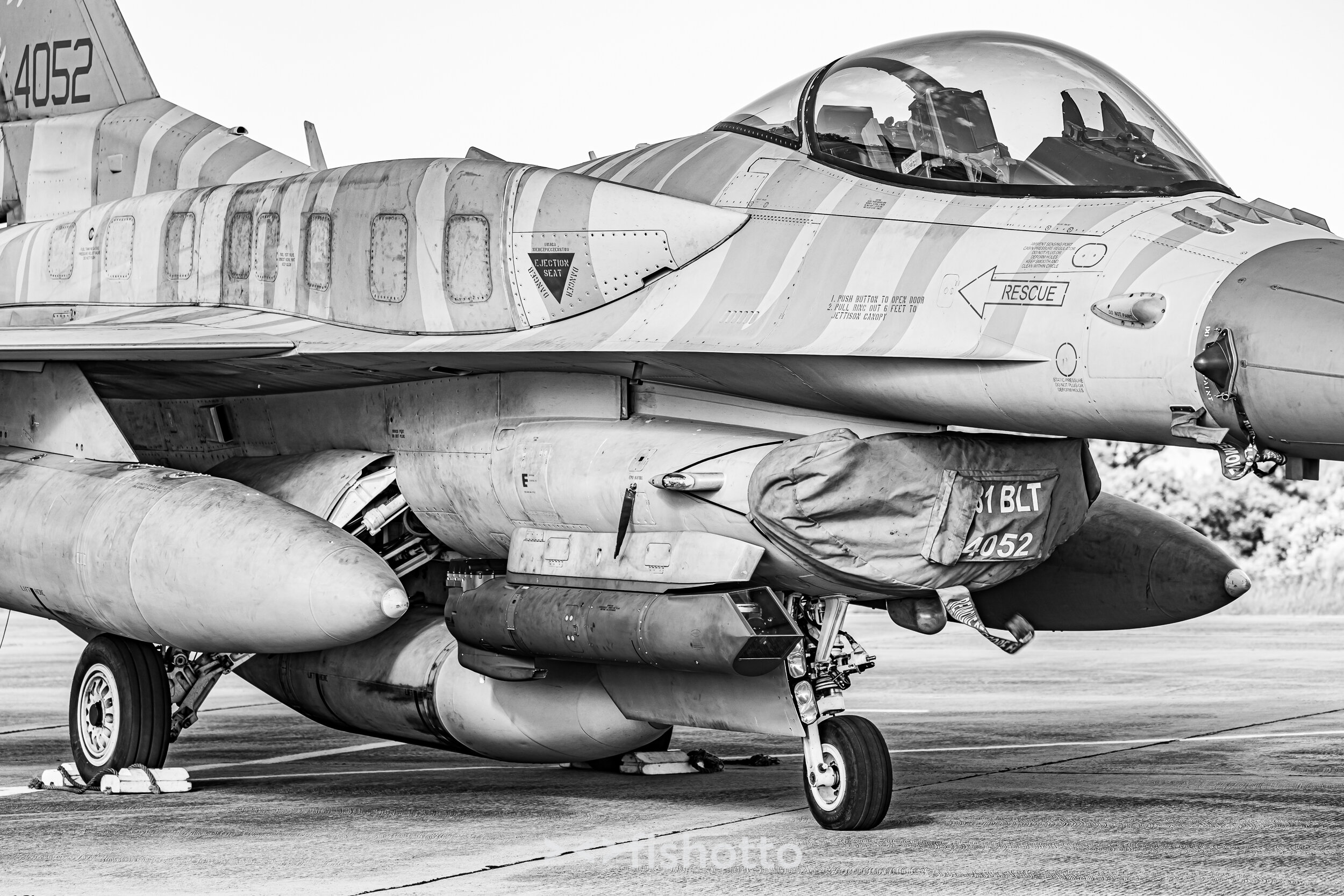 TigerMeet_2021_Best_B&W_2500-107.jpg