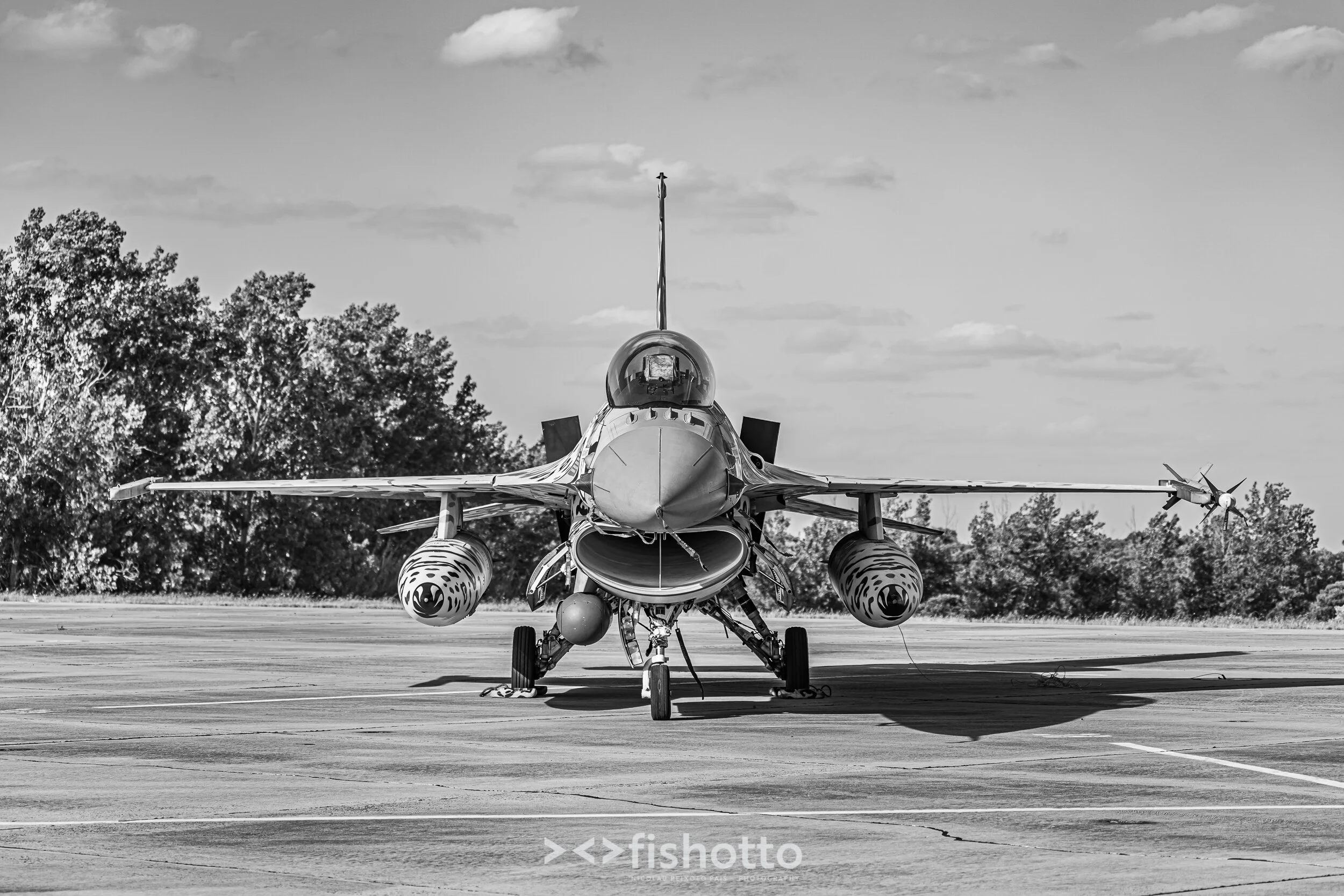 TigerMeet_2021_Best_B&W_2500-108.jpg