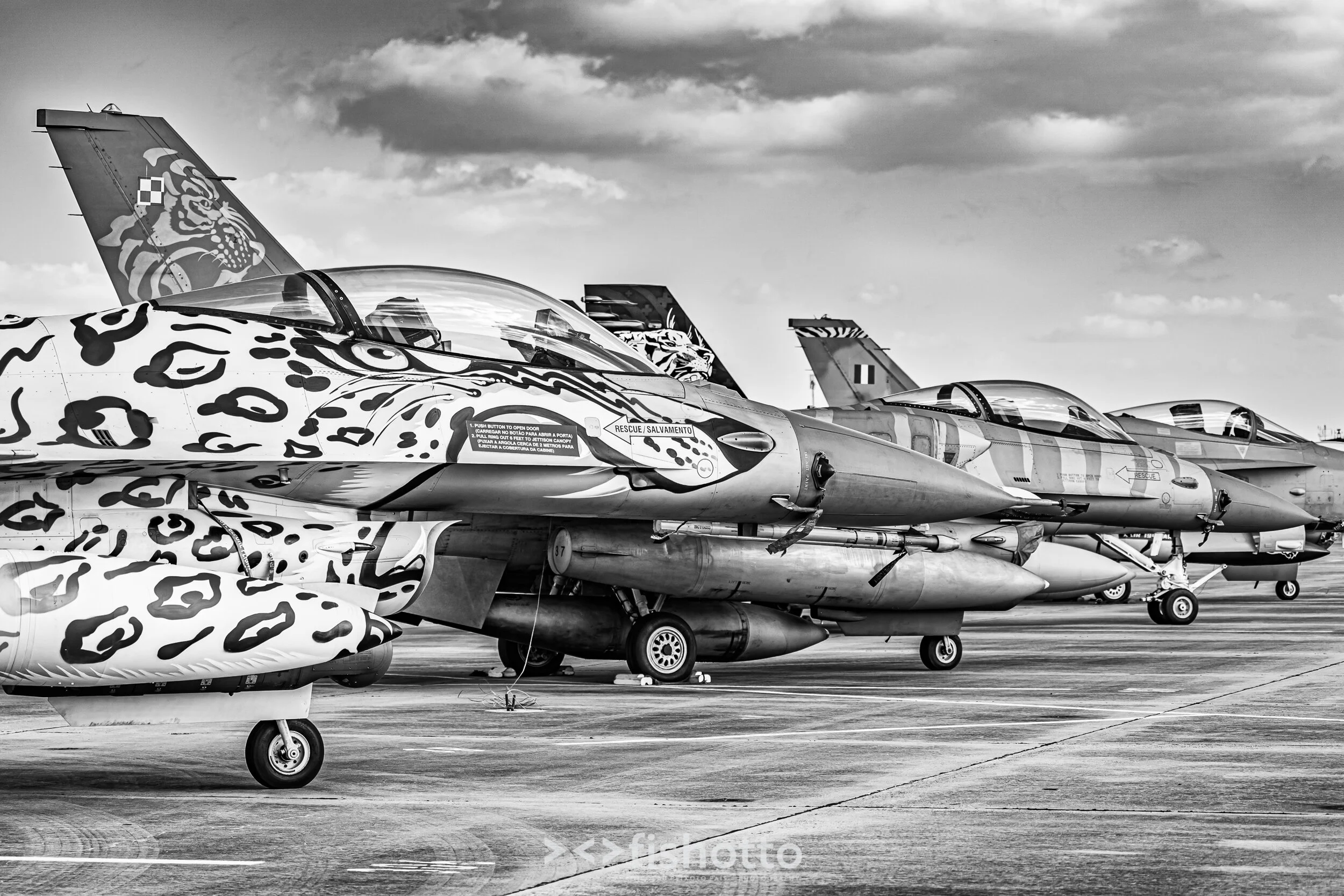 TigerMeet_2021_Best_B&W_2500-109.jpg