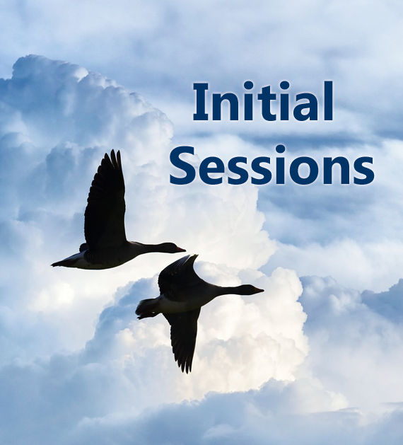 initial-sessions.png