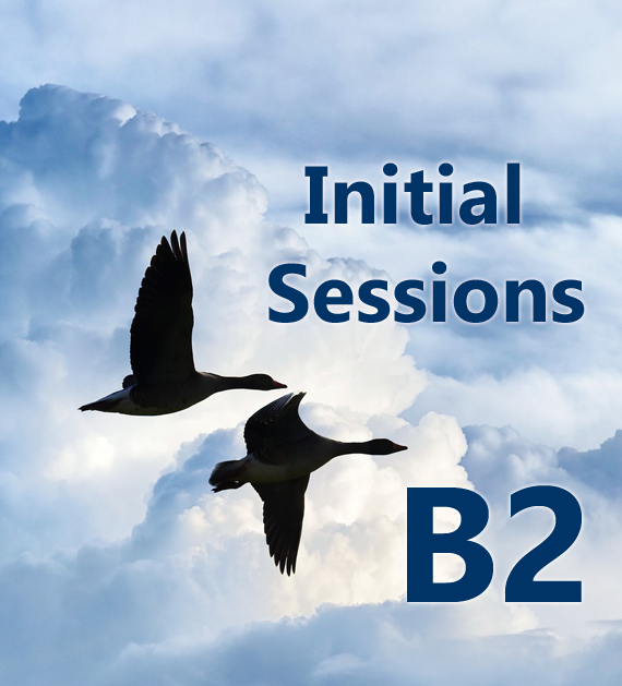 initial-sessions-B2.png