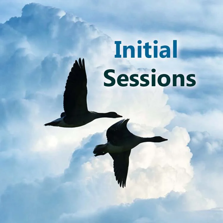 button to select Initial Sessions