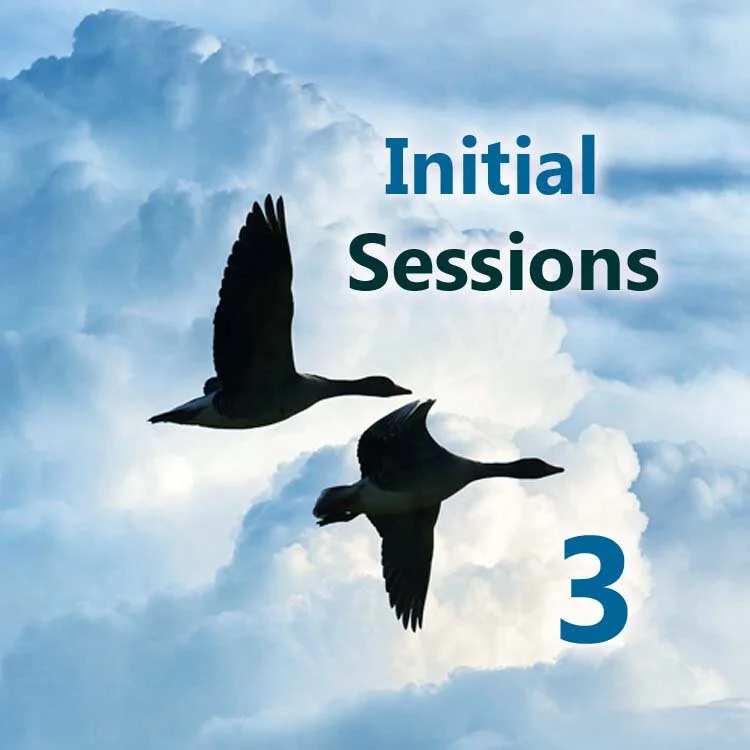 button to select 3 Initial Sessions