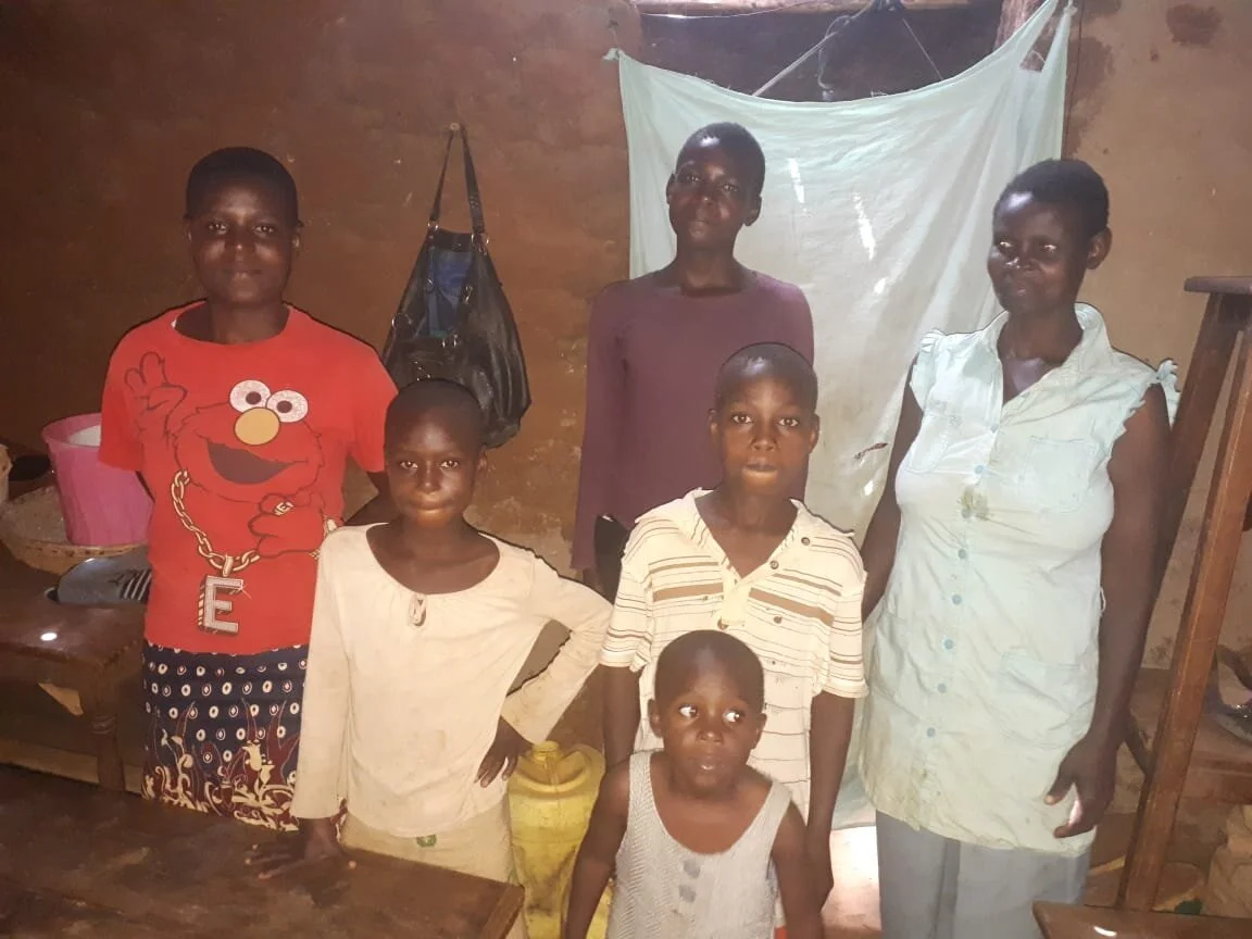 Three Kenyan Plauges: COVID-19, Locusts, Flooding