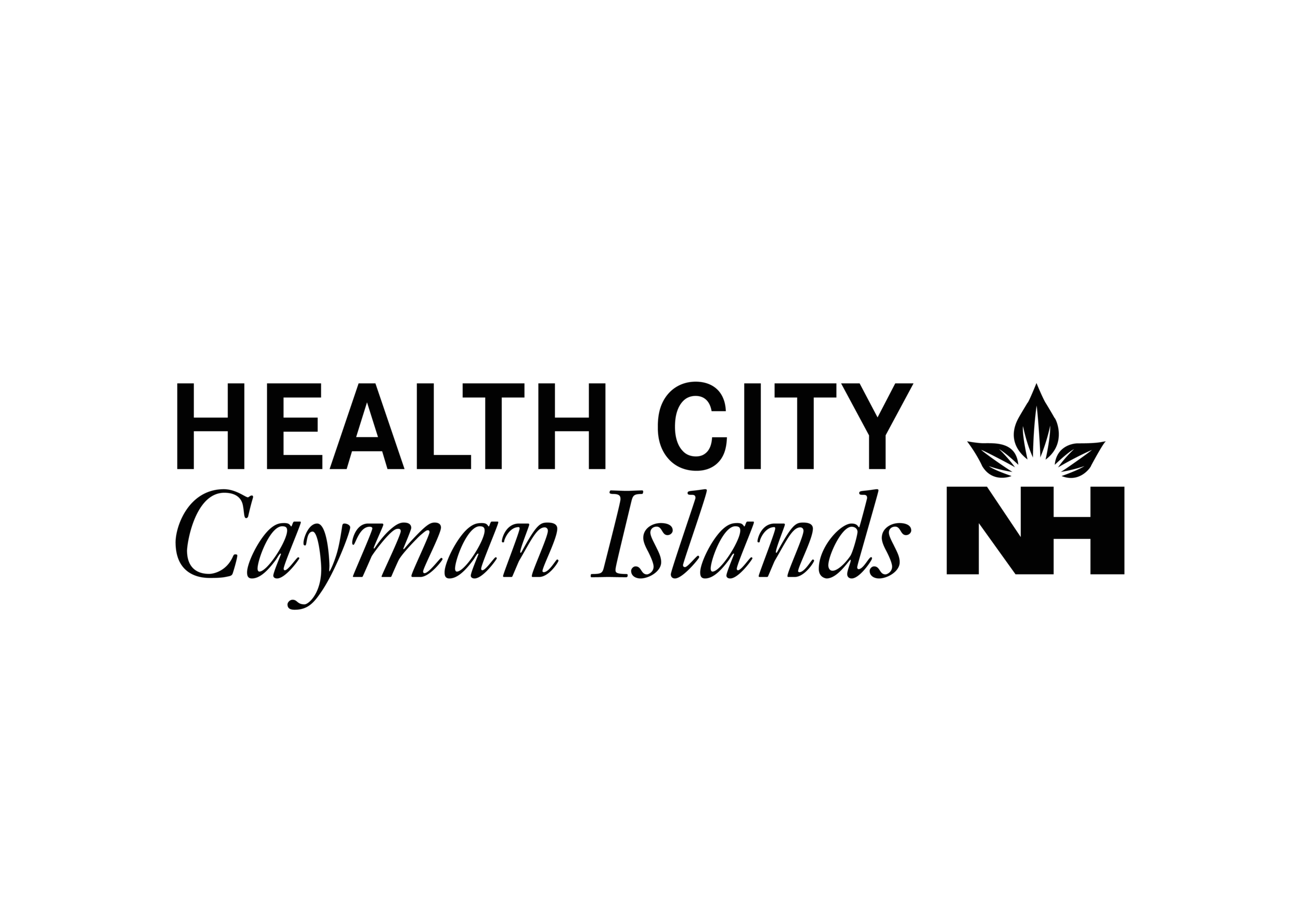 New Health City Logo-01.png