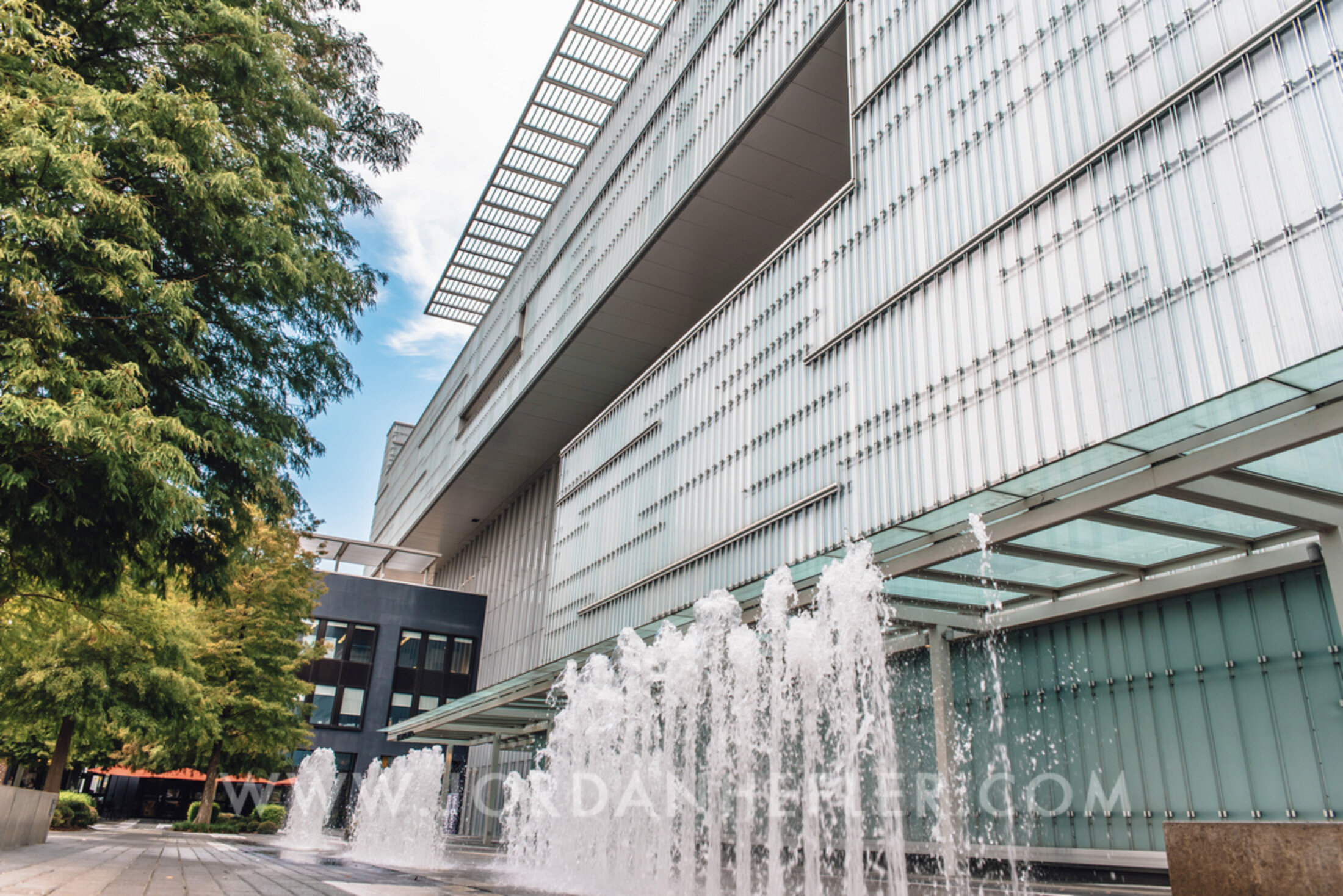 Screen Shot 2019-09-24 at 11.02.14 AM.jpg