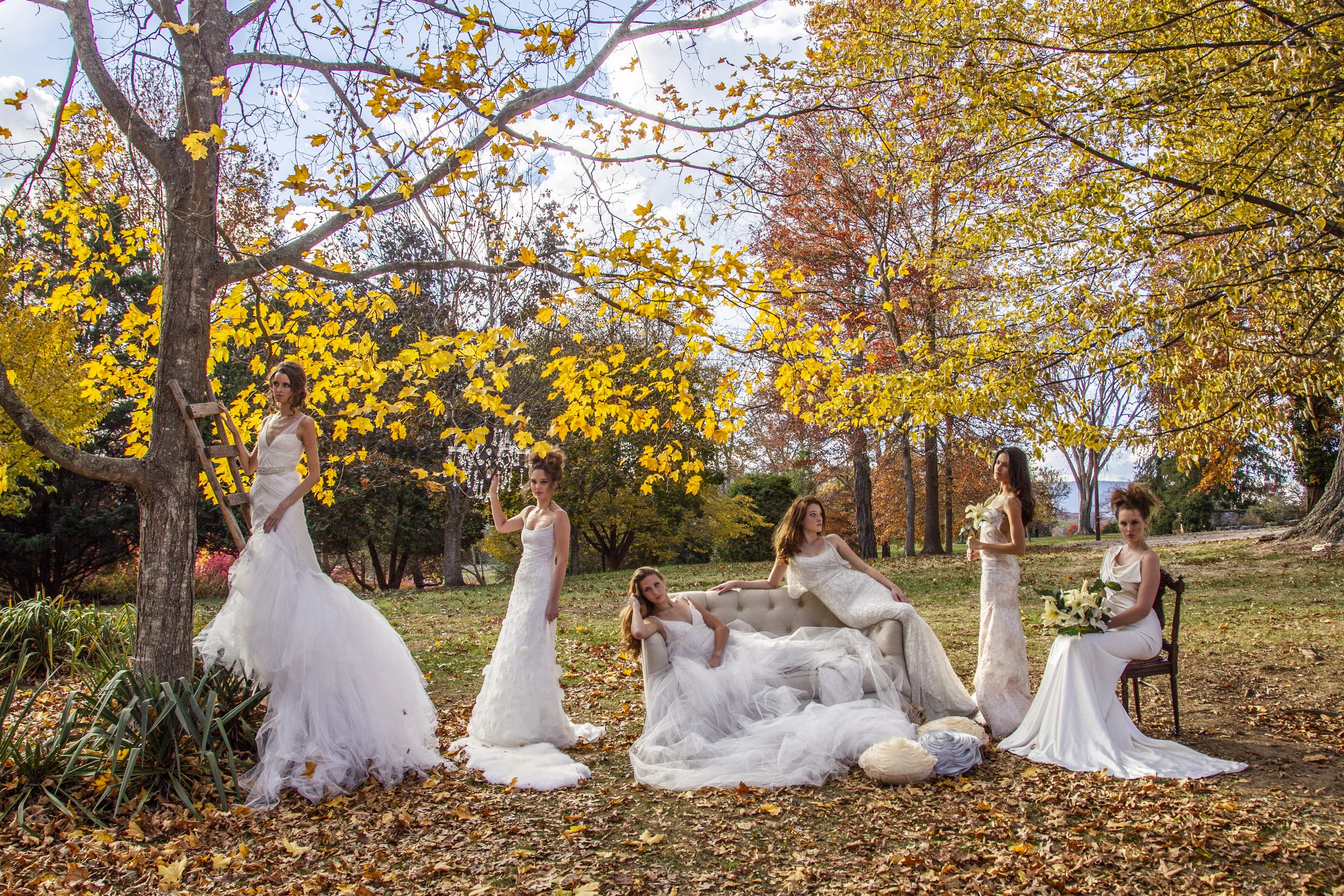 Document Name _1.JPG