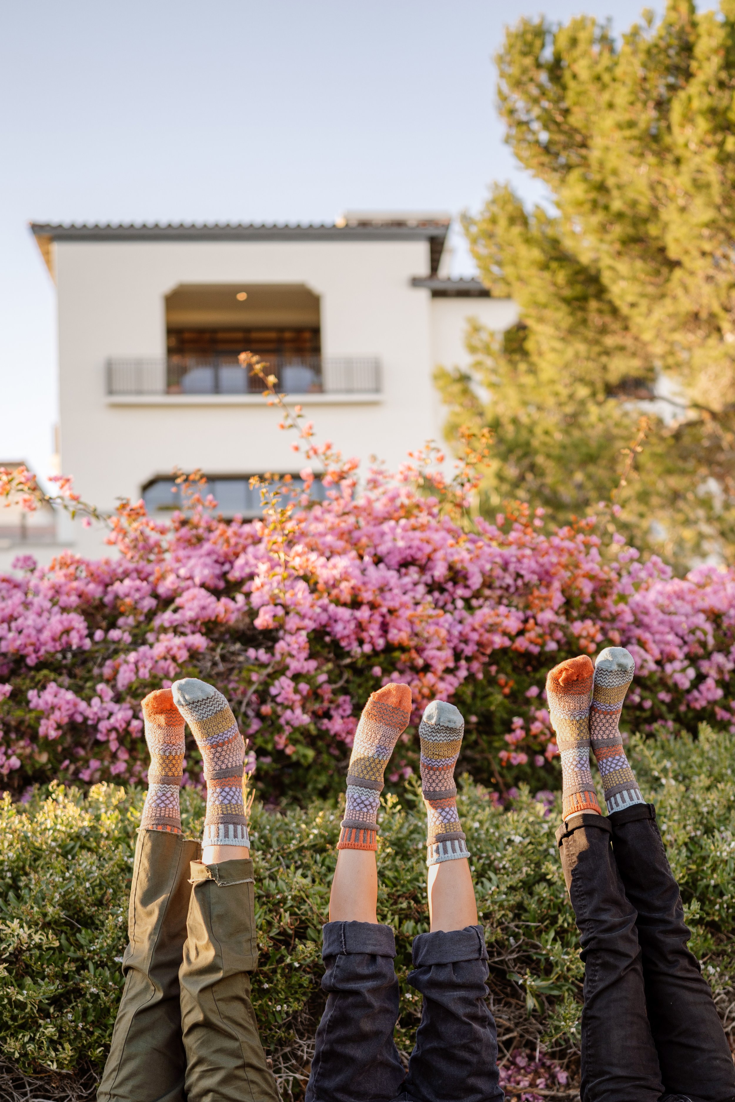 Olive Crew Socks