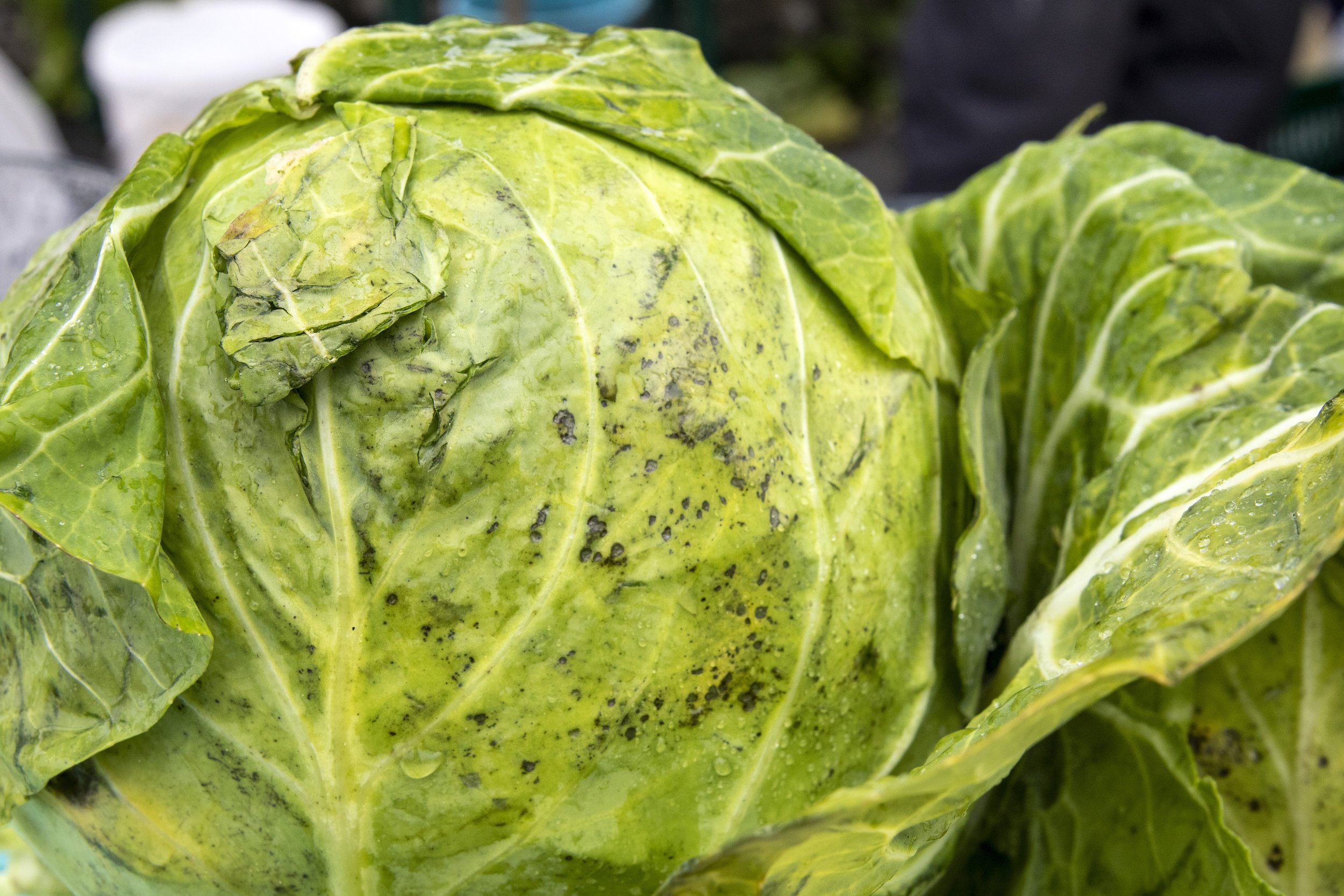 The same customers every Saturday. You see, it’s all up to yourself. If you were behind the counter and not talking, they won’t come back. But if you pass a little bit about the weather or this or that, they will always come back. It’s the gift of th