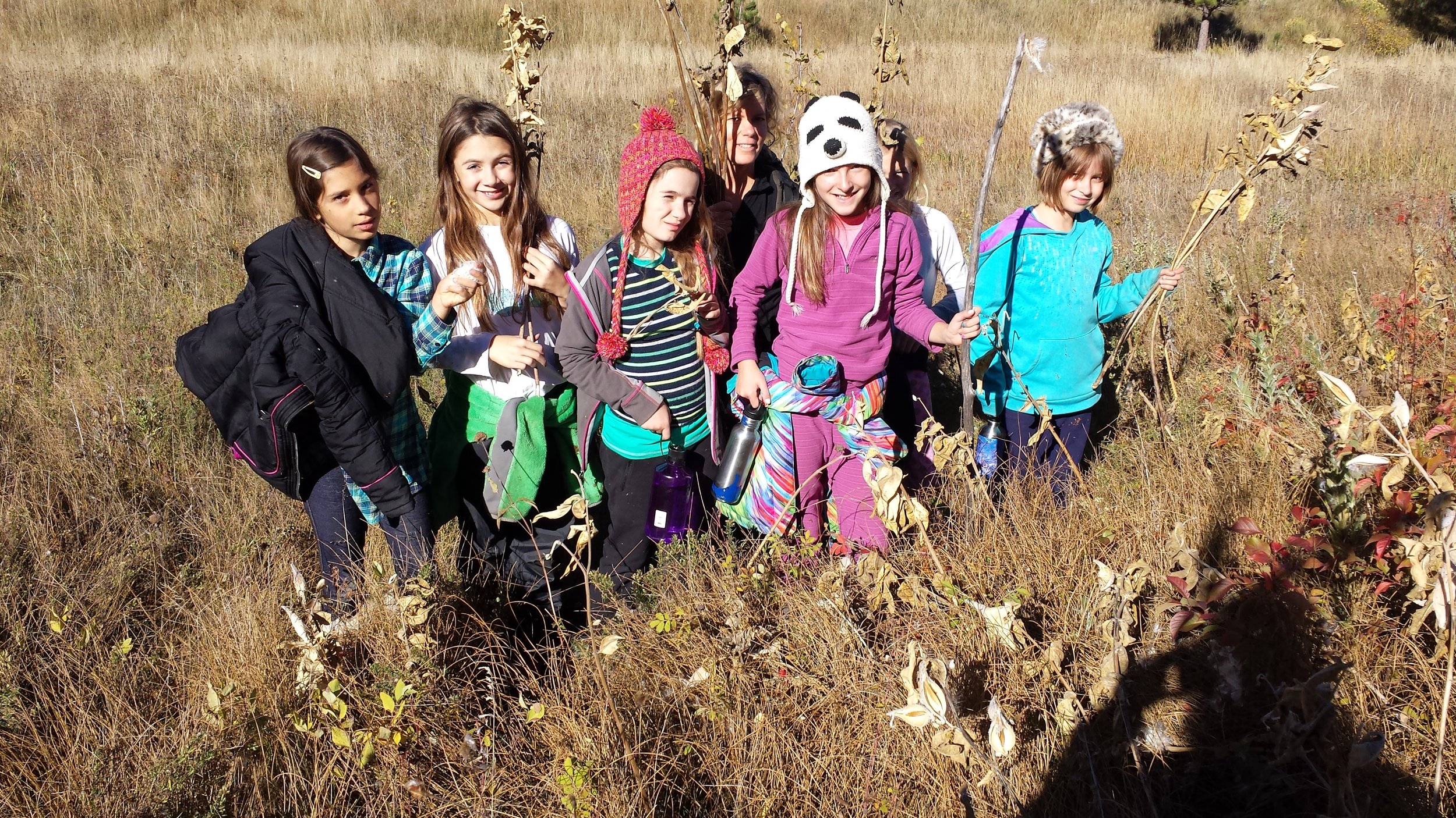 harvesting milkweed.jpg