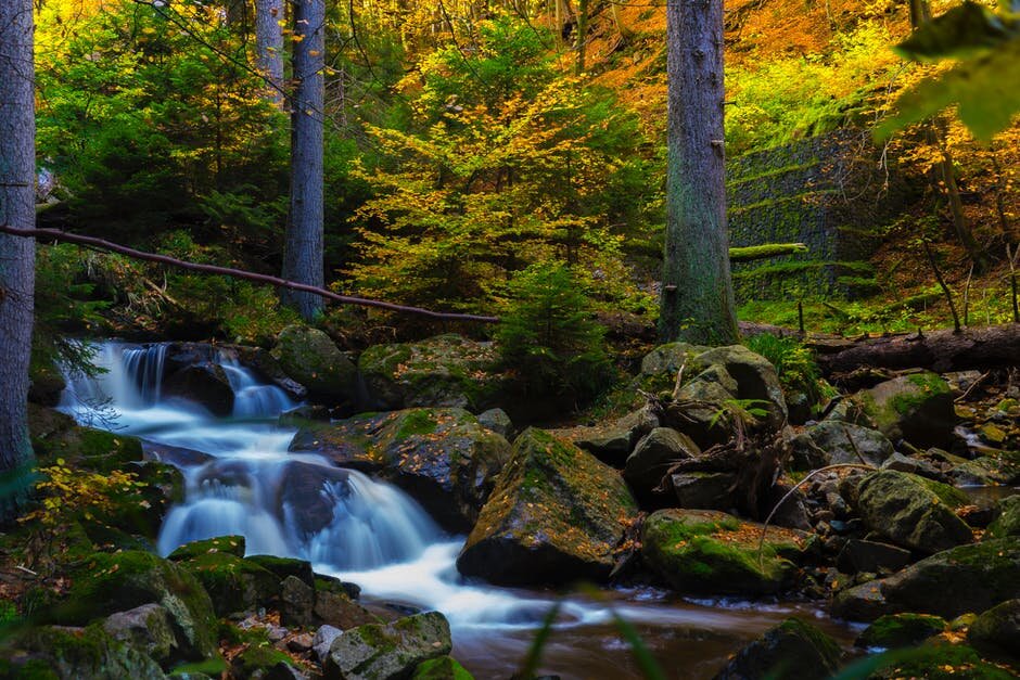 river through woods.jpg