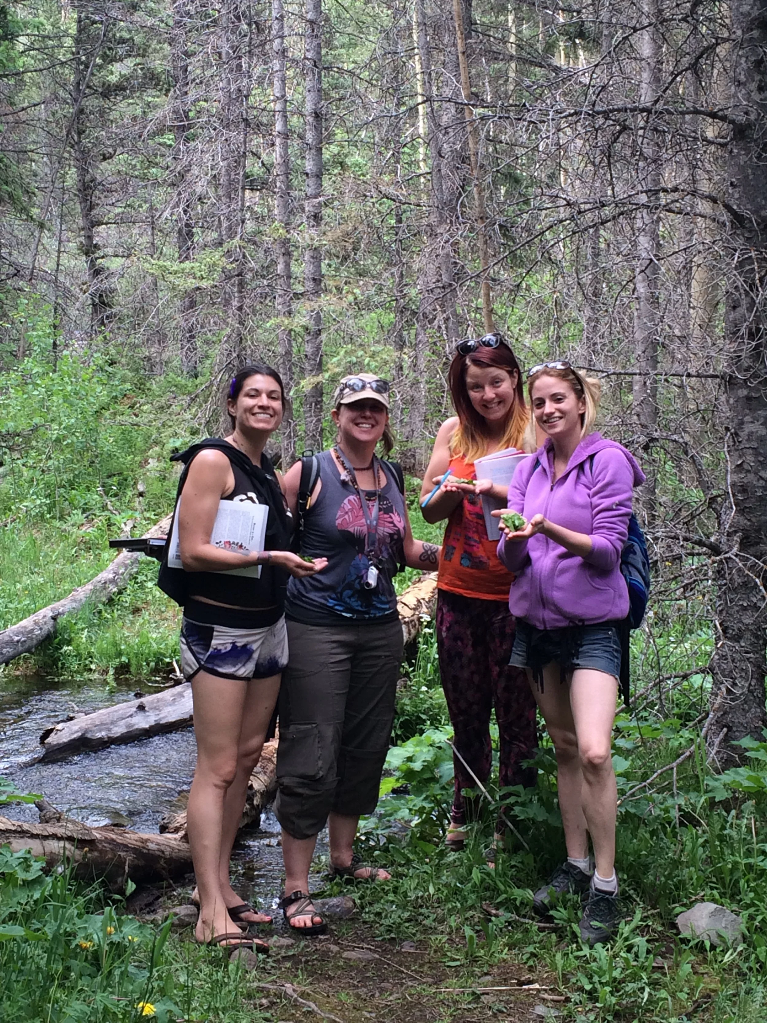 Botanical Field Immersion : Plant ID, Honorable Harvest &amp; Remedy Making 