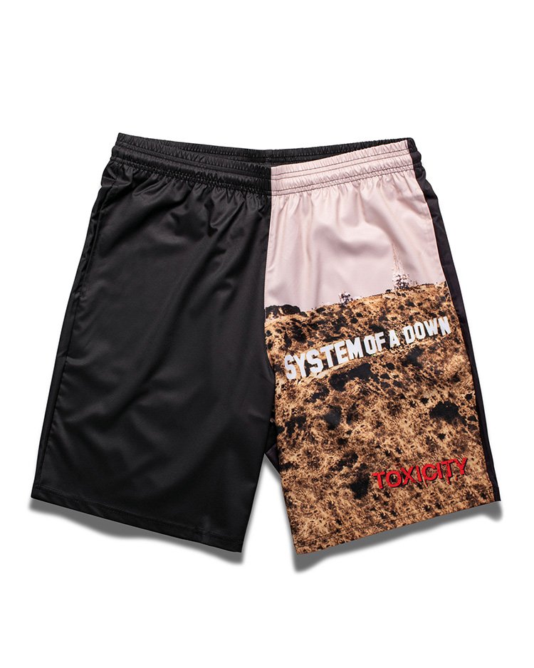 Swim Shorts | Sublimated Design | Double Lined | System of a Down