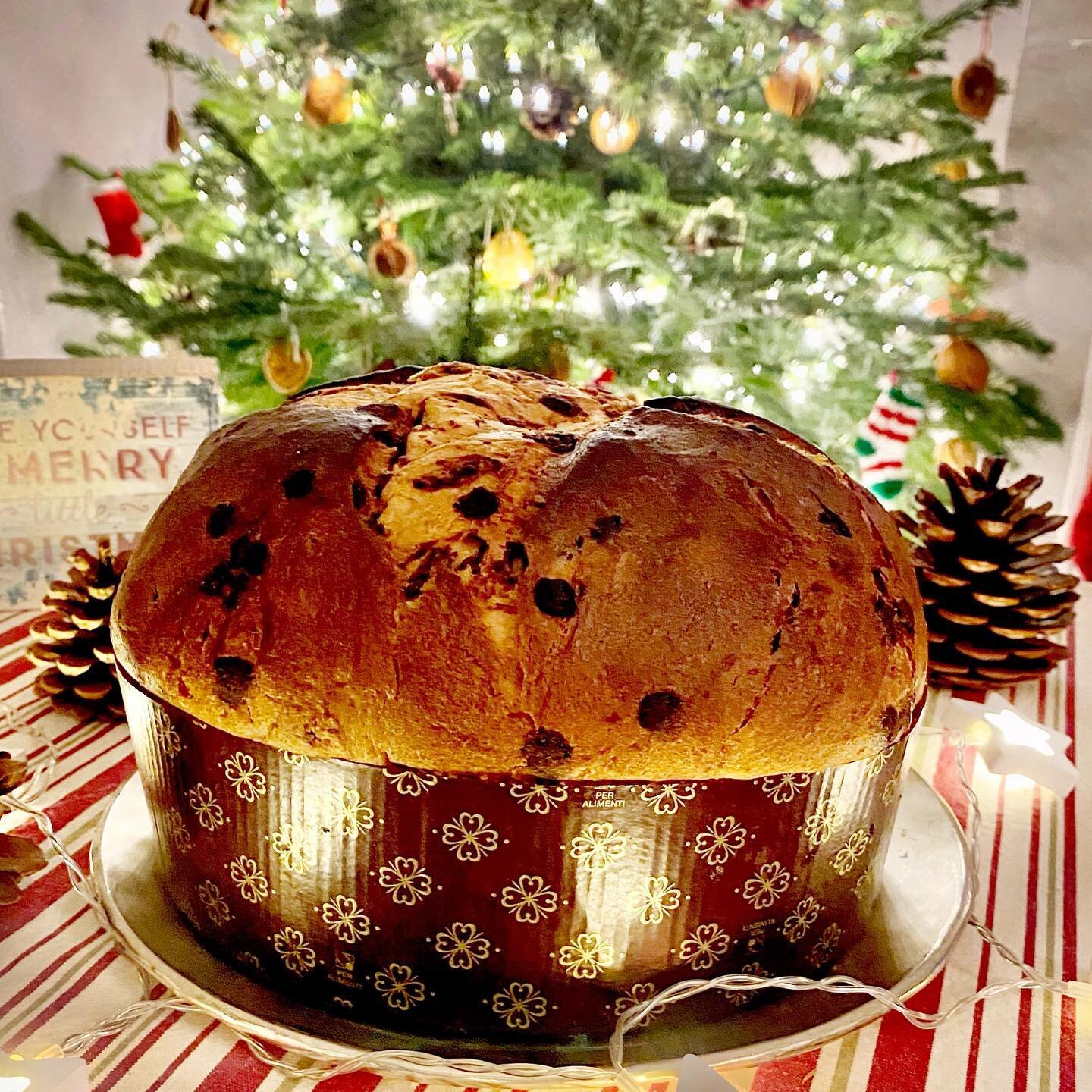 Chocolate Chip Artisan Panettone #gelatorino #gelatorinolondon #panettone #panettoneartigianale #christams #christmascake #italianfood #londonlove #coventgarden