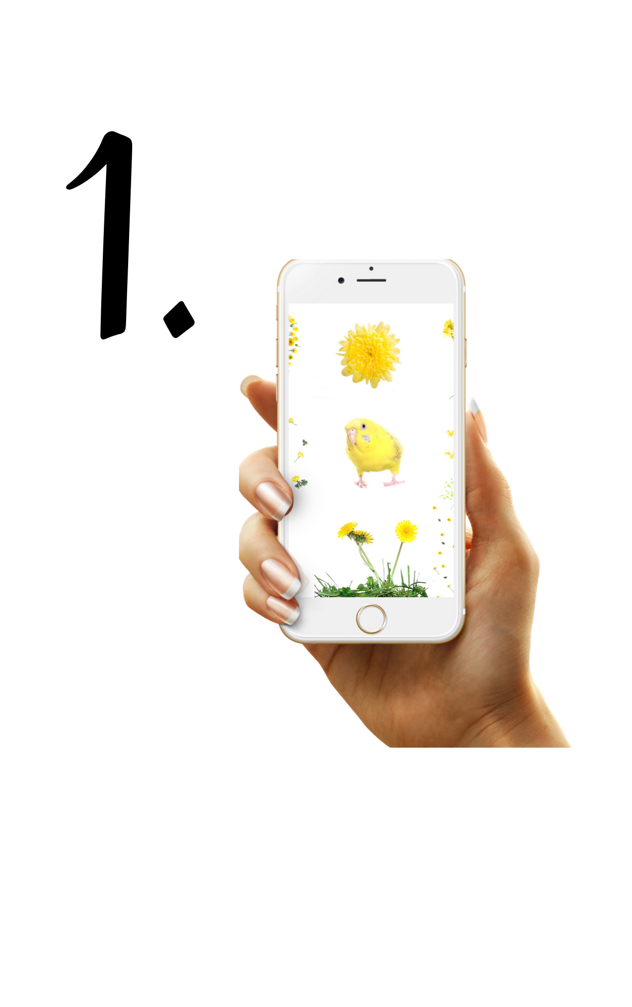 1.(6).png