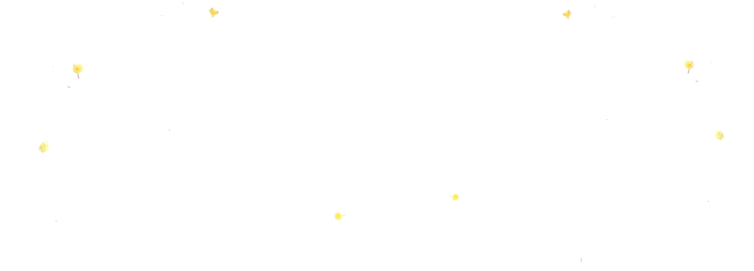 Copy of Copy of Career Composition.png