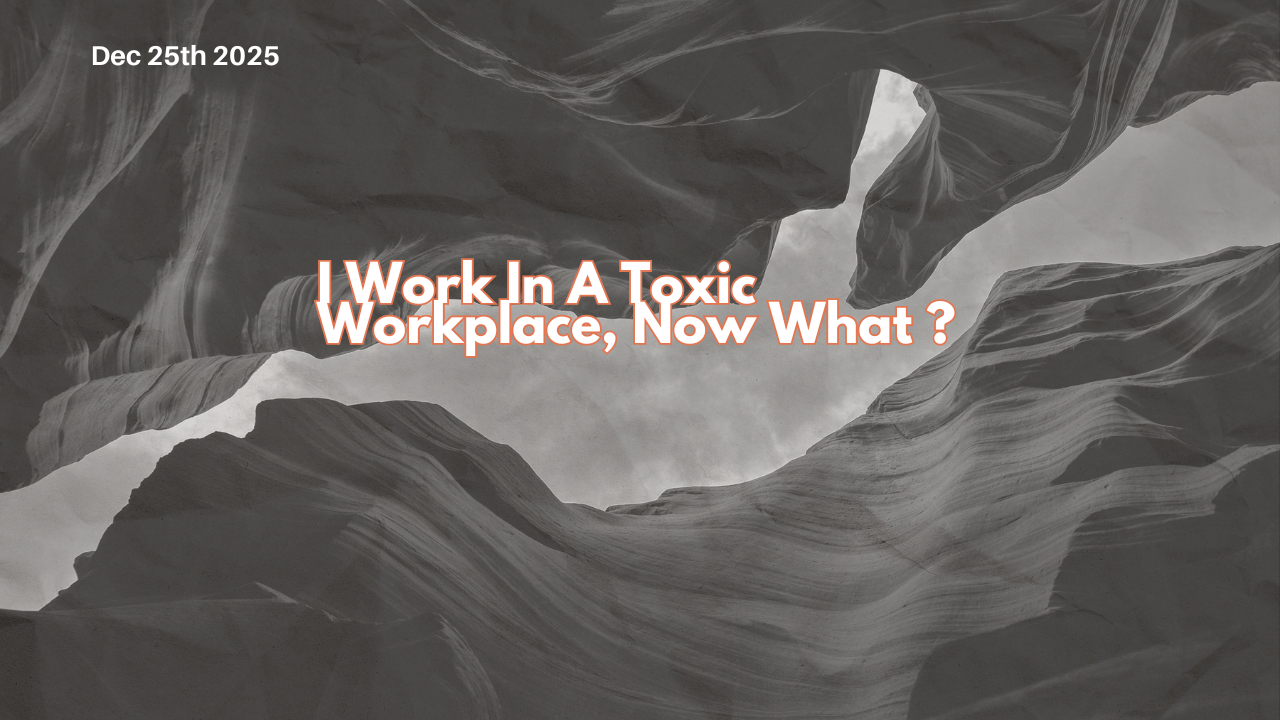 Pt Three of The Workplace Survival Series: The Toxic Workplace