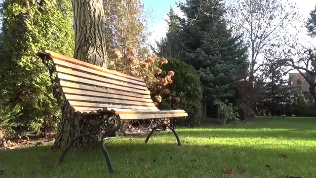  “Augmented Reality” by Samantha Bianco 