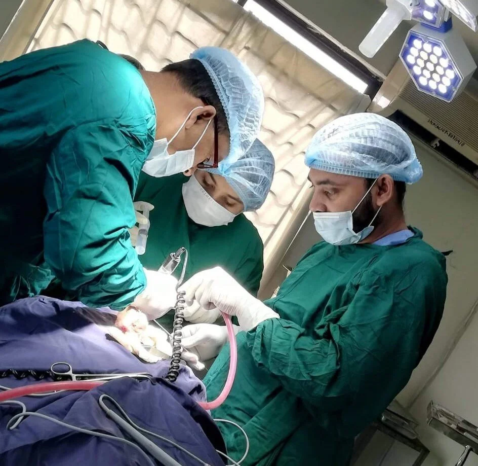 “I realised what a noble profession I’m in” UL applicant Tamara on volunteering as a dentist to help those most in need
