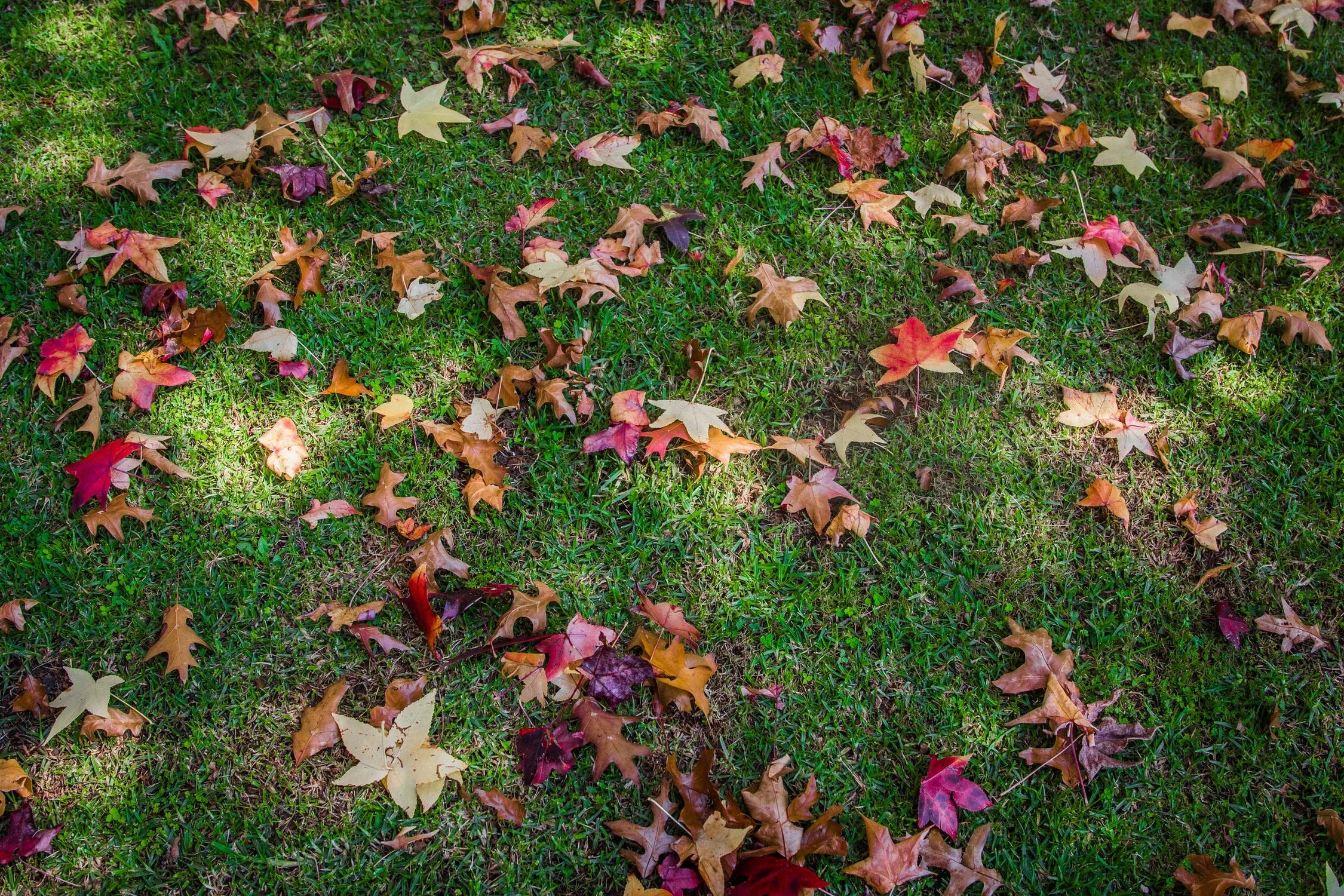 Fall Boat Maintenance Checklist: 3 Things You Must Do
