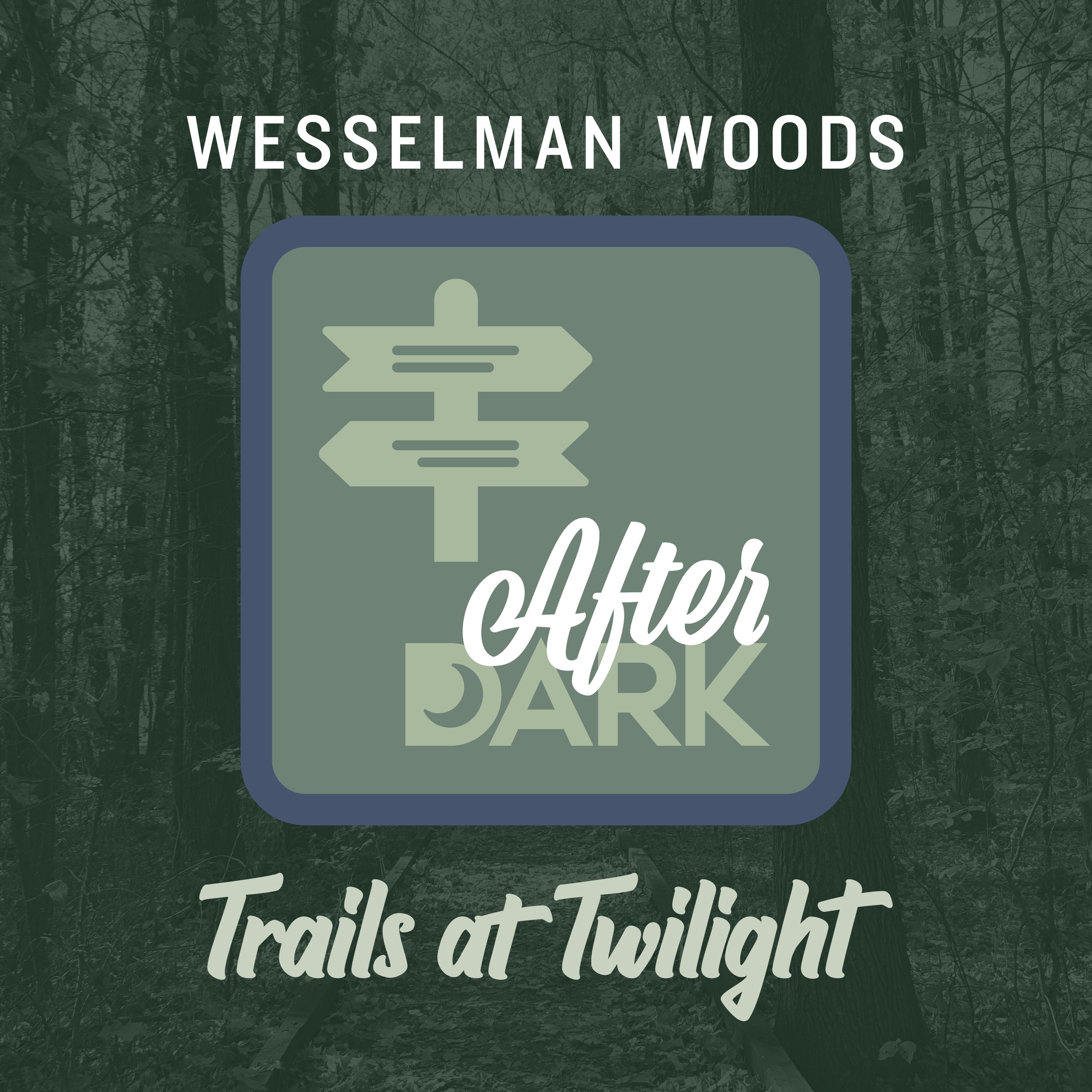 Trails at Twilight: Wesselman Woods