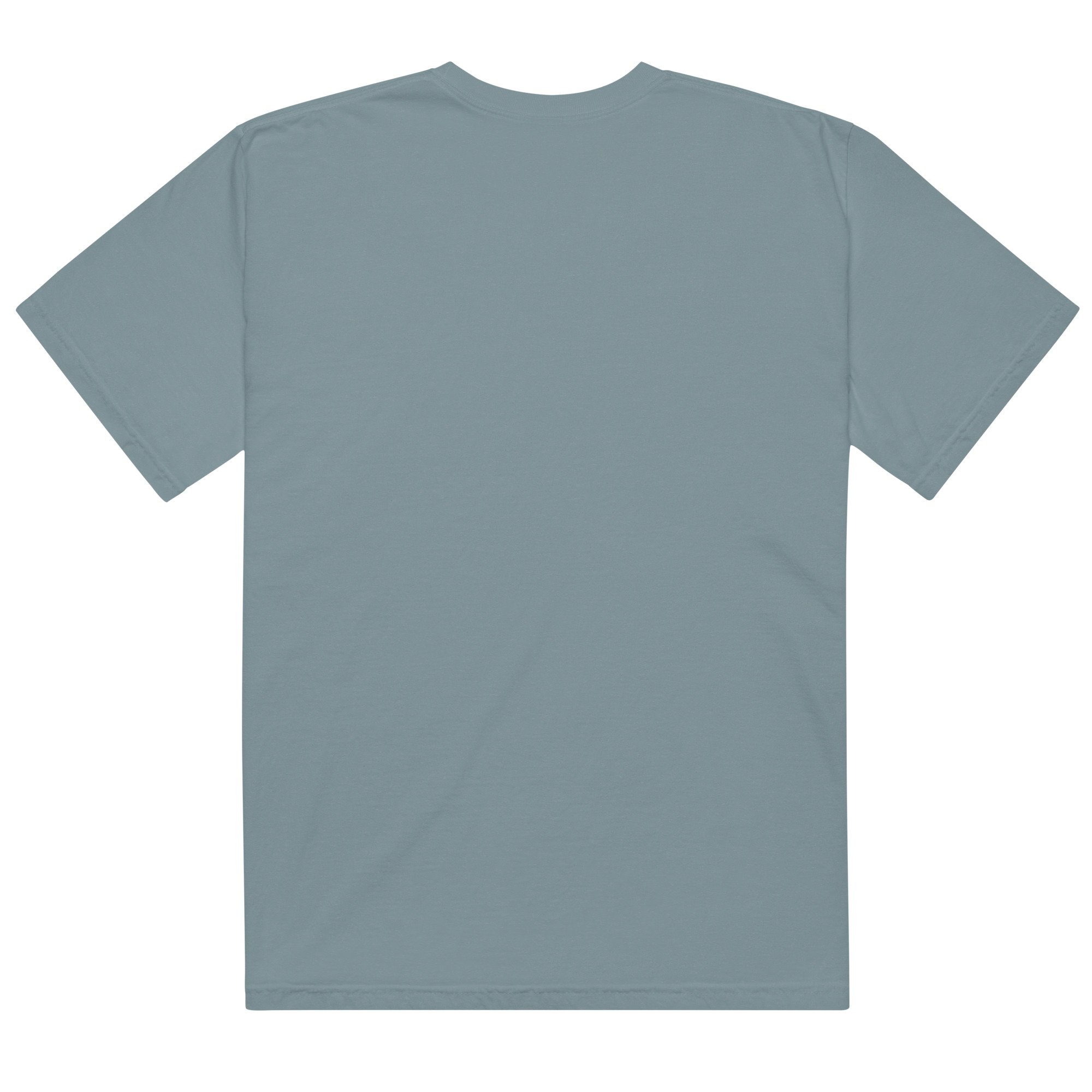 unisex-garment-dyed-heavyweight-t-shirt-ice-blue-back-69ab1f370133f.jpg