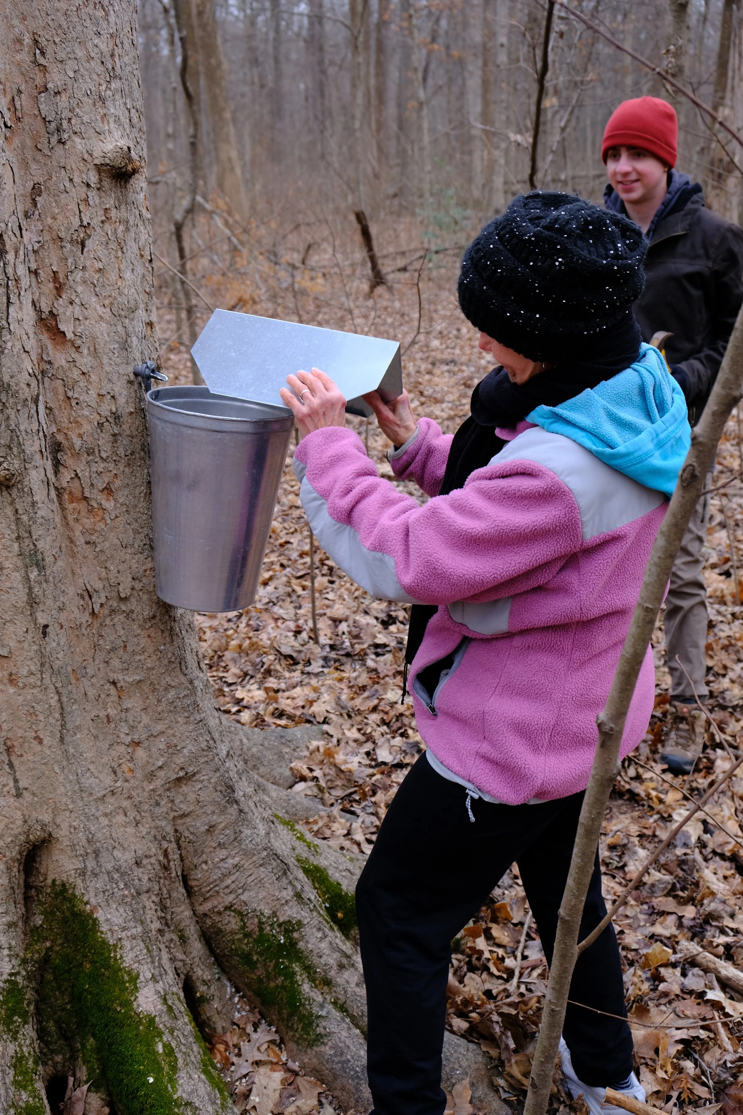 WW-Maple Tap_2026-56.JPG