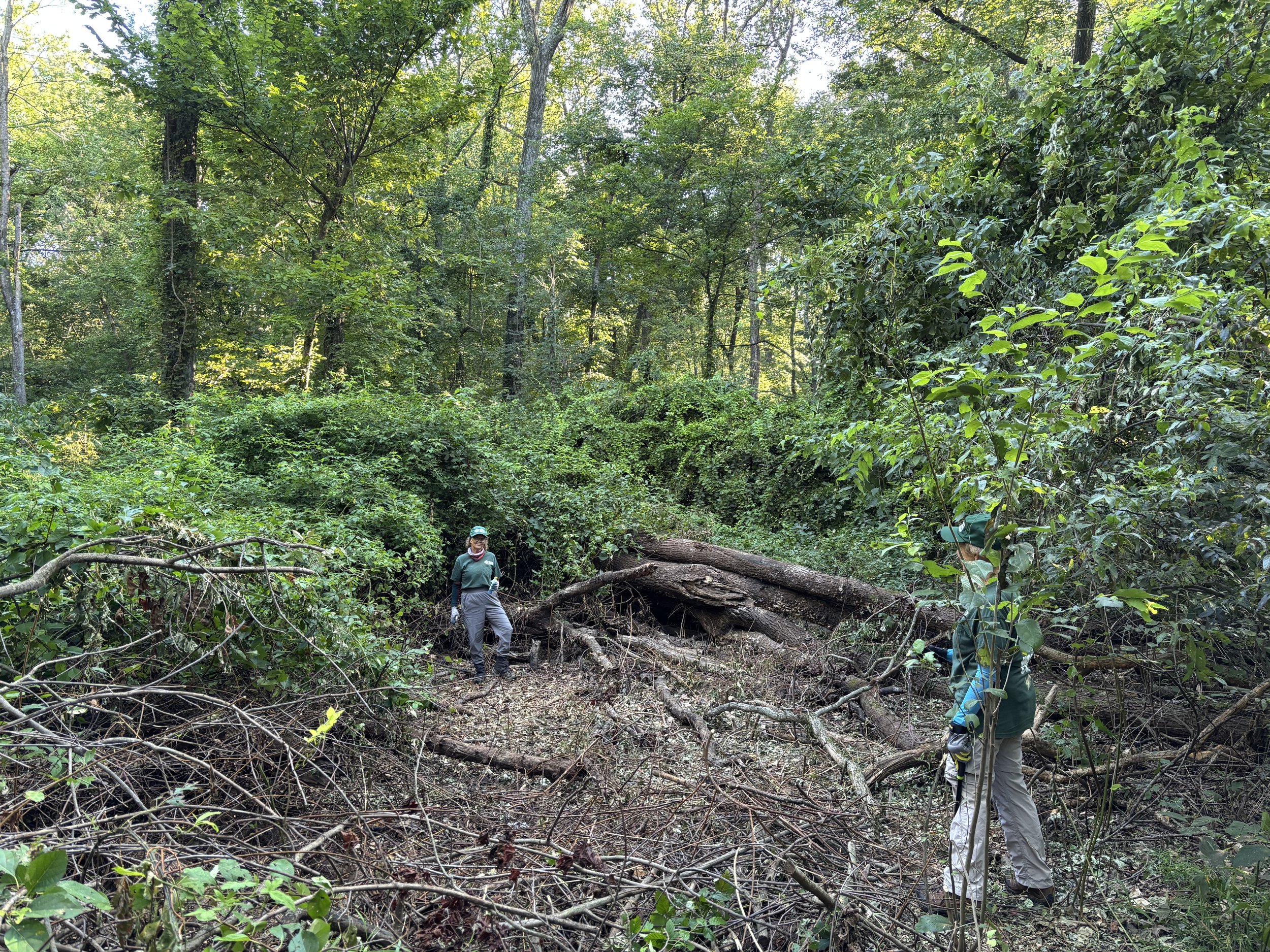 Toyota Trail Cleanup_2025-2.jpg
