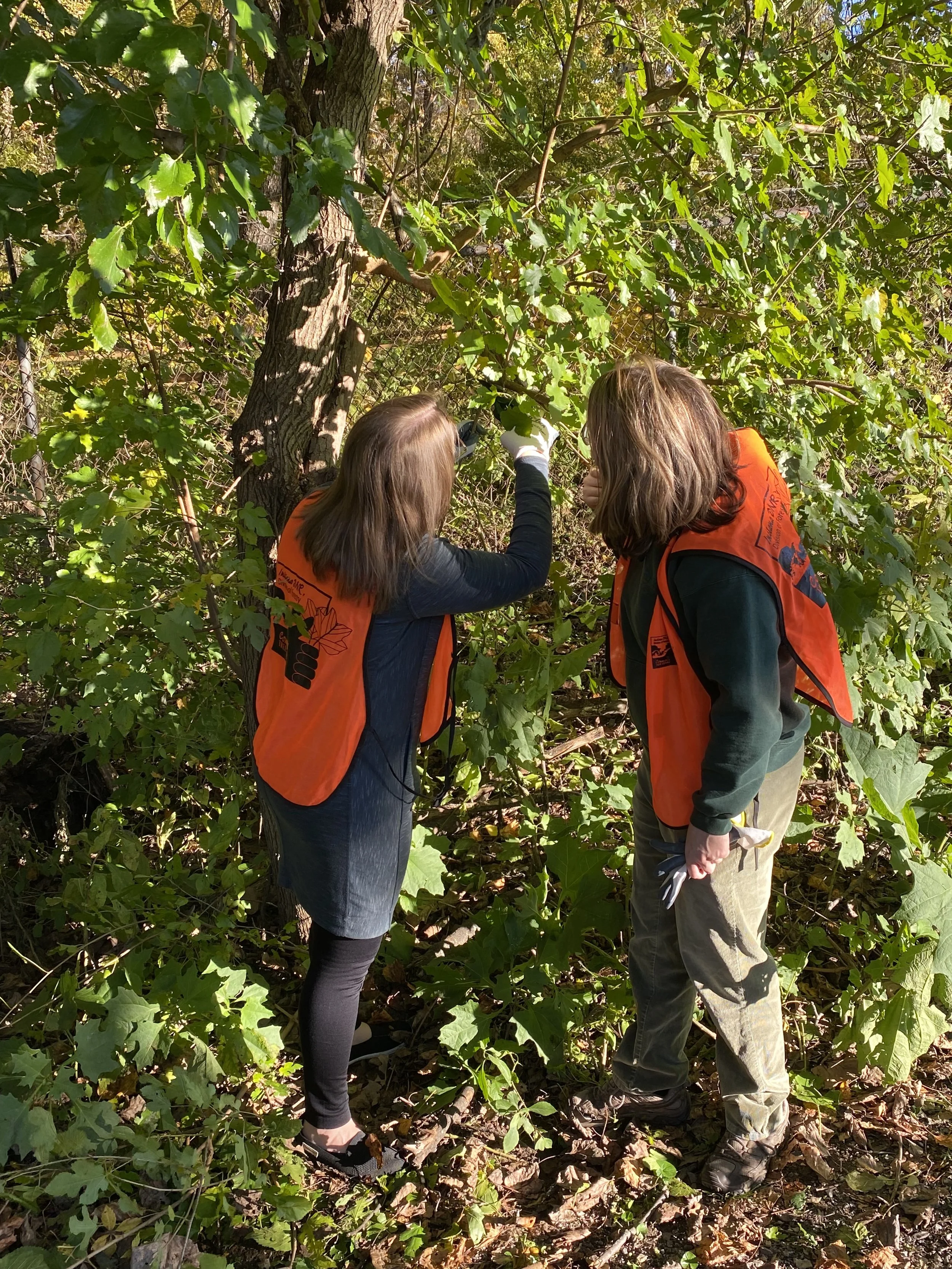 DNR-Tree Stewards 2025-10.jpg