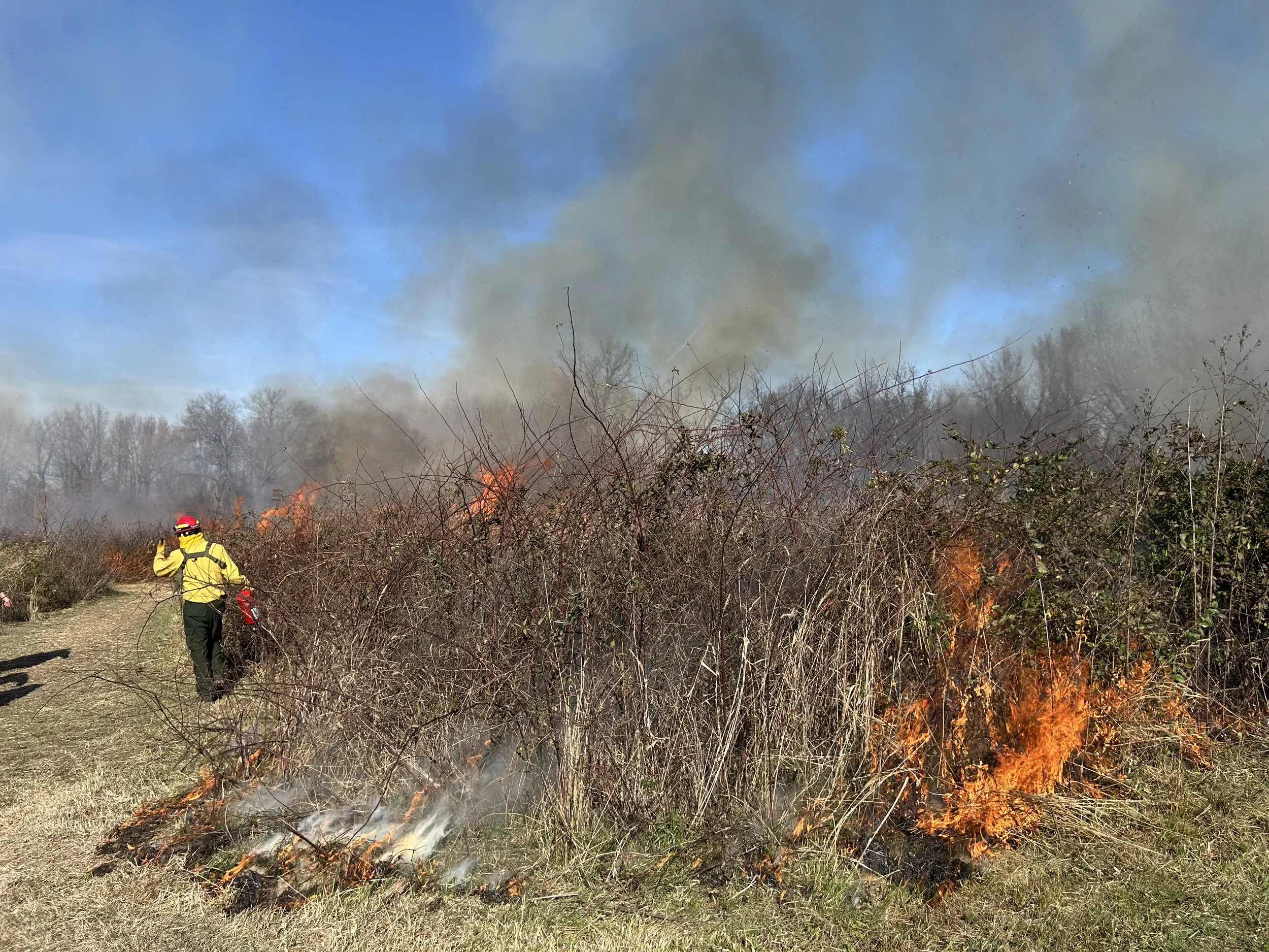 Dennis, Margaret_HW Burn 2025-6.jpg
