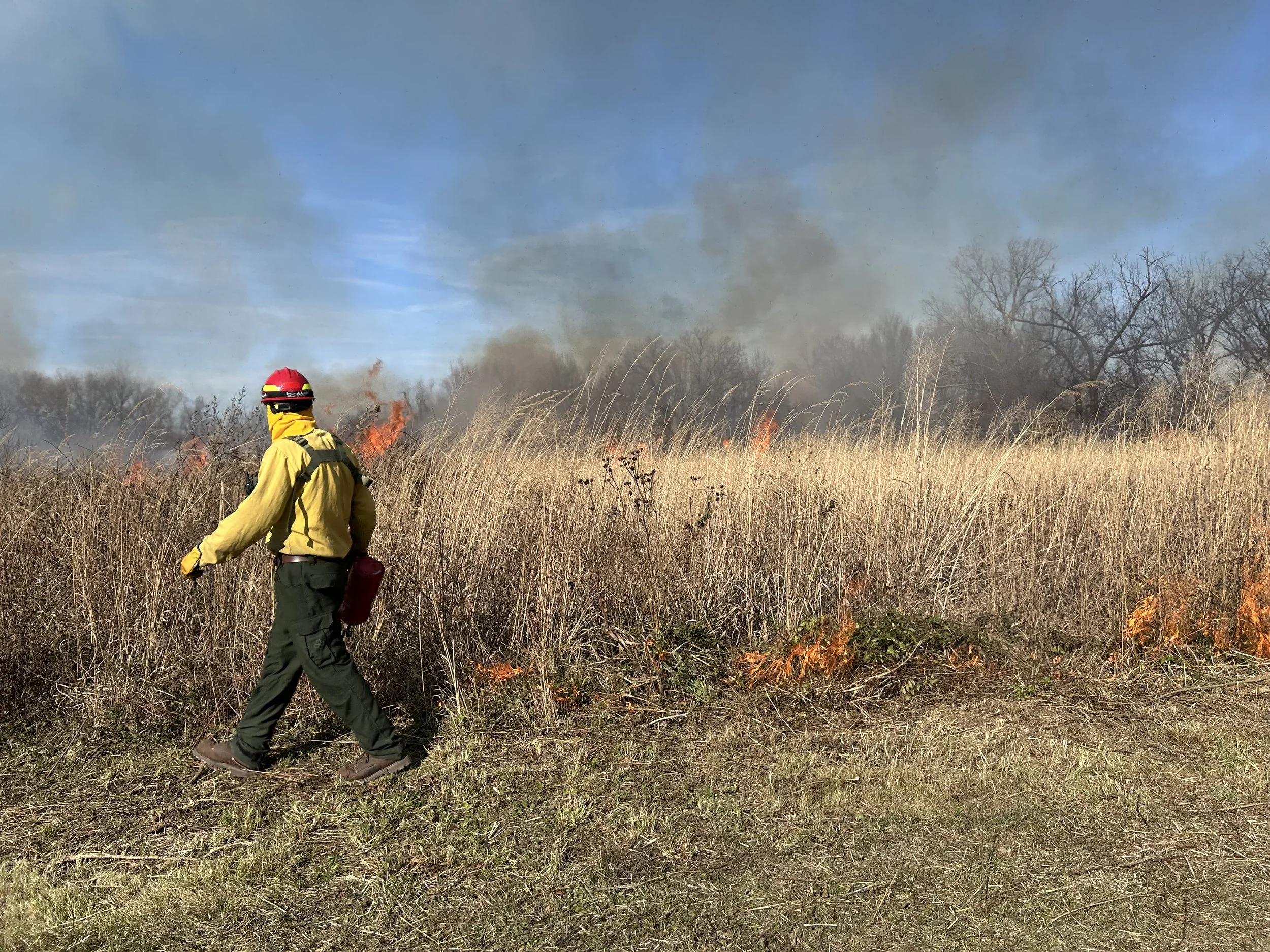 Dennis, Margaret_HW Burn 2025-4.jpg