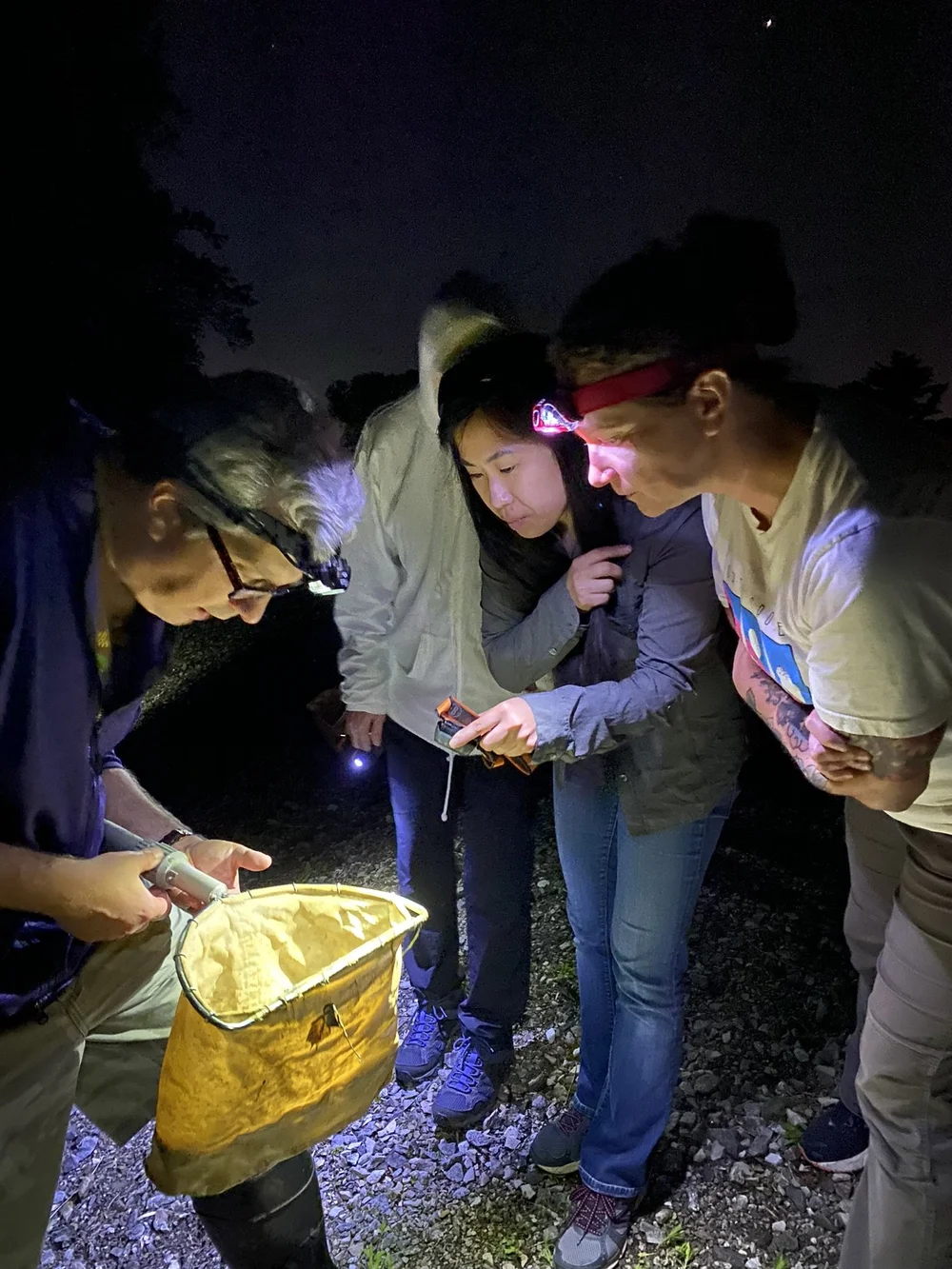 Indiana Master Naturalist — Wesselman Woods