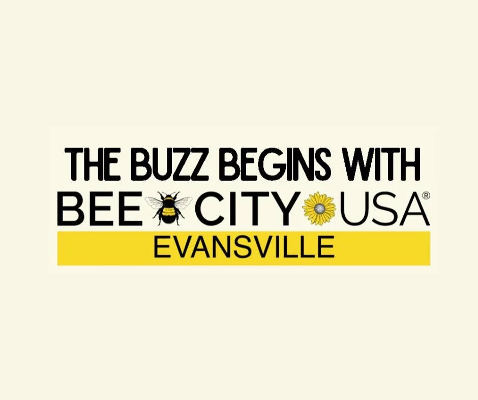 Bee City: The Buzz Begins