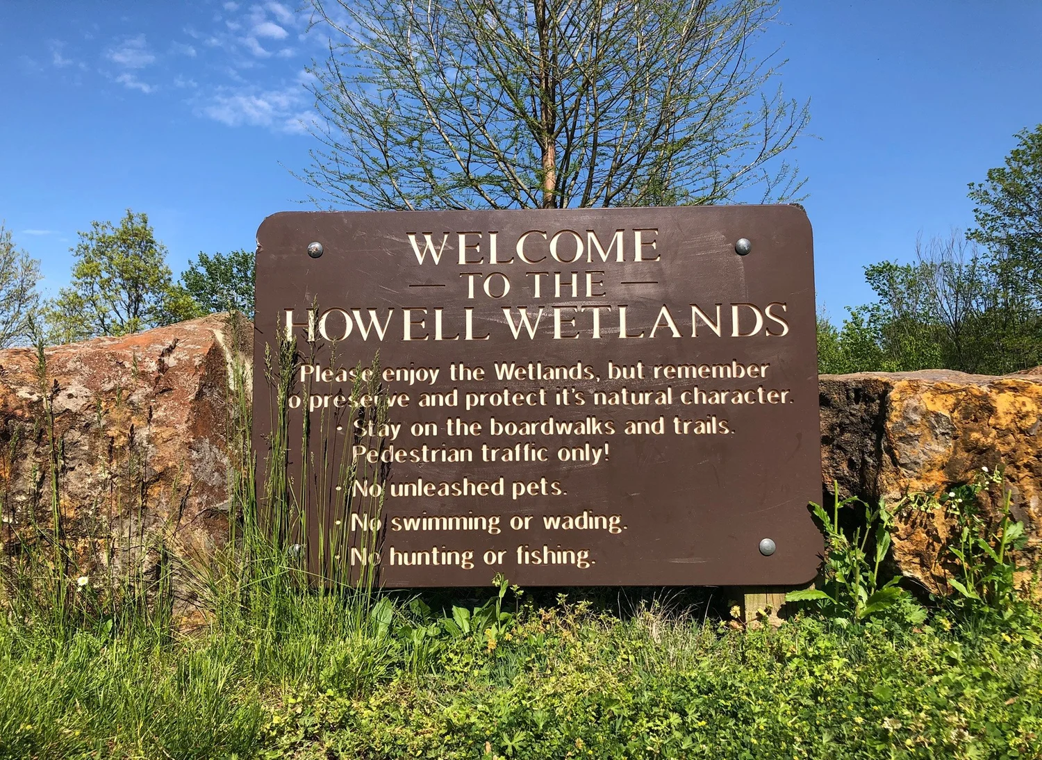 Howell Wetlands — Wesselman Woods