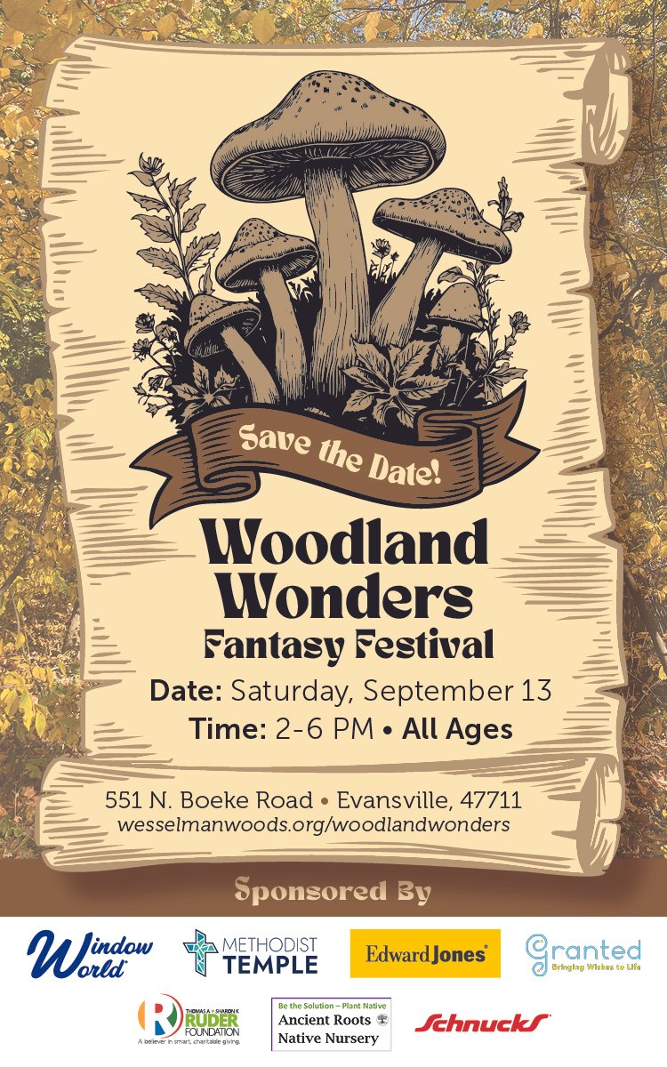Woodland Wonders