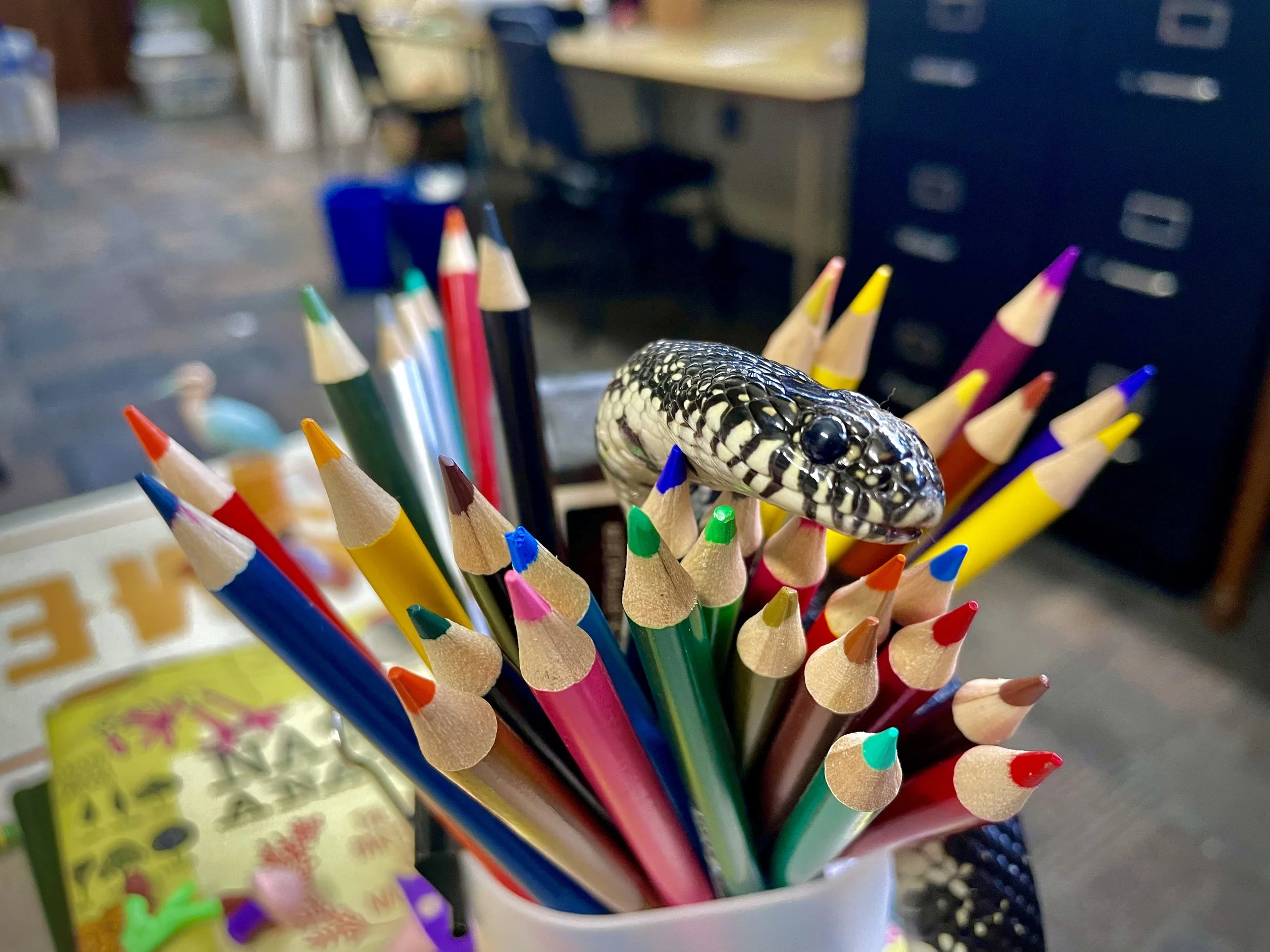 IMG_6964 (1).jpg