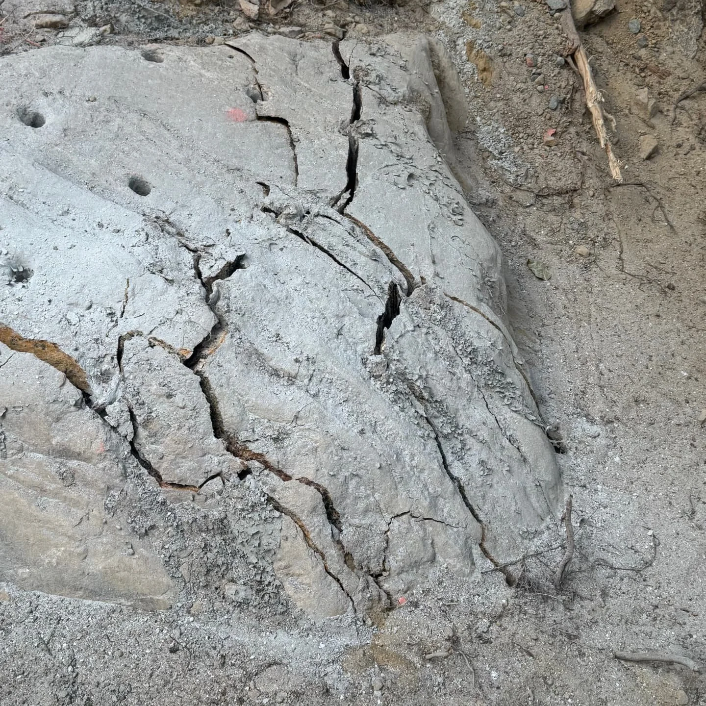 Found some rock on our last septic bed size increase to accommodate a bunkie. Took it in stride, a couple extra days over the weekend to keep the project moving, got it done.