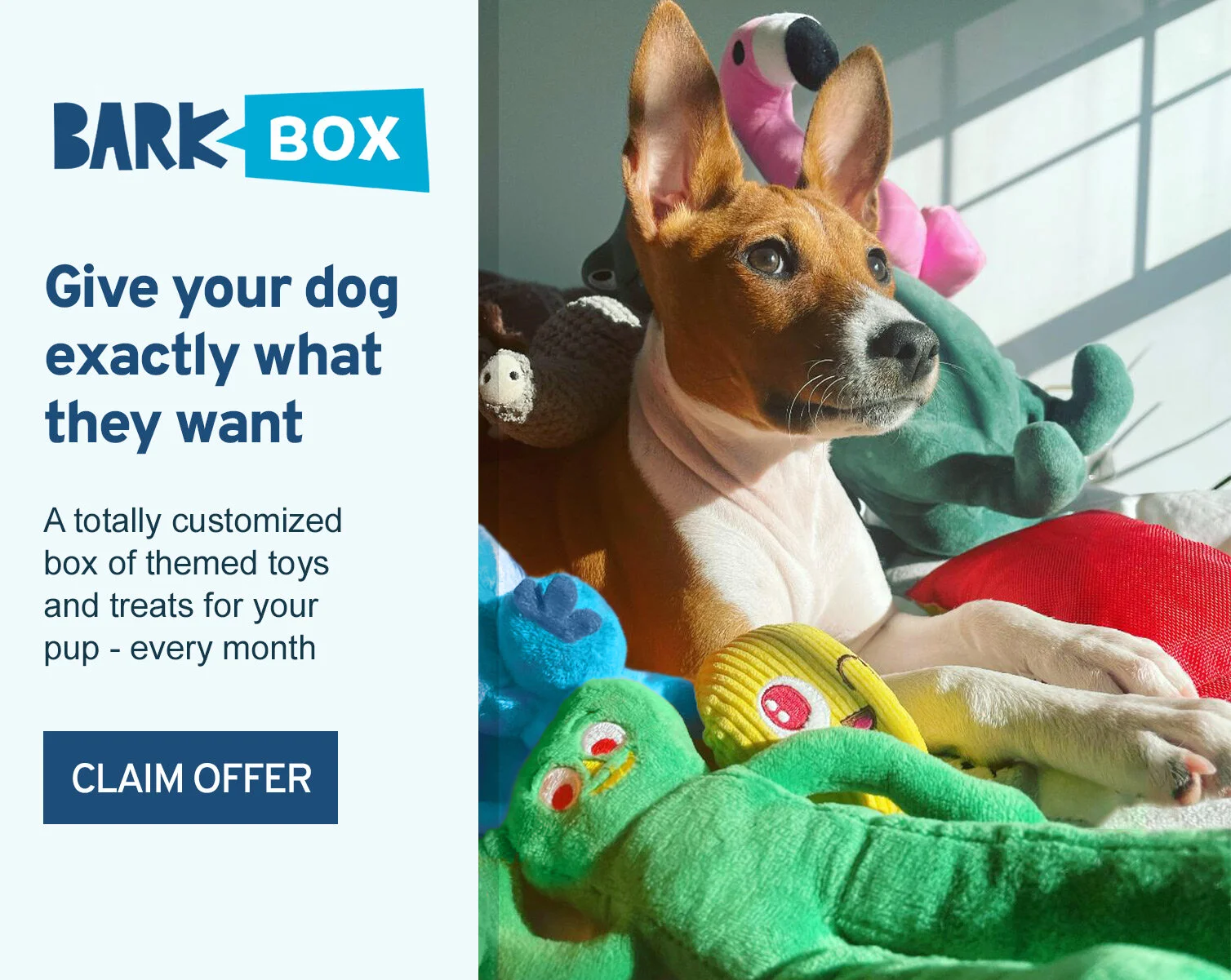 BarkBox-Ad.jpg
