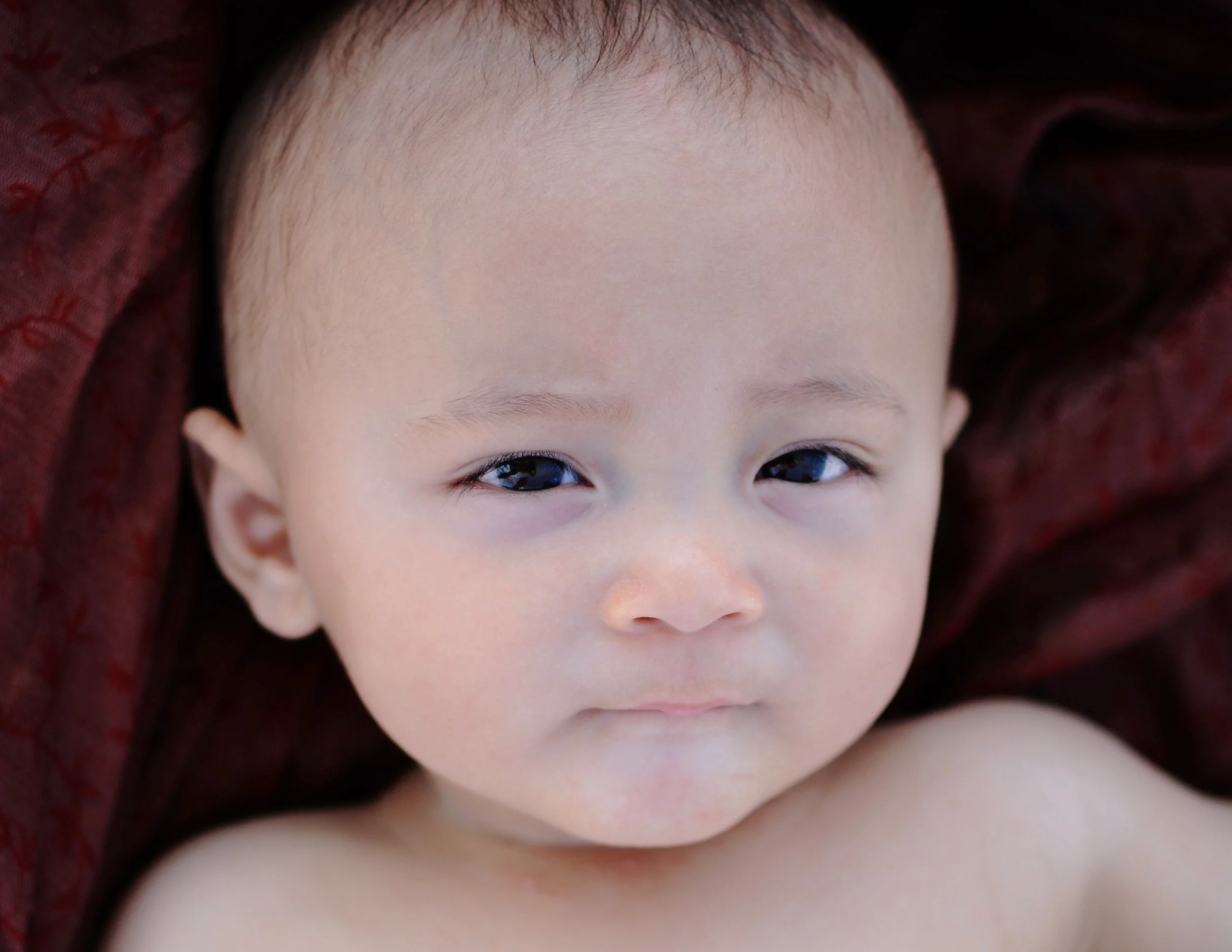 KAITOcloseup.jpg