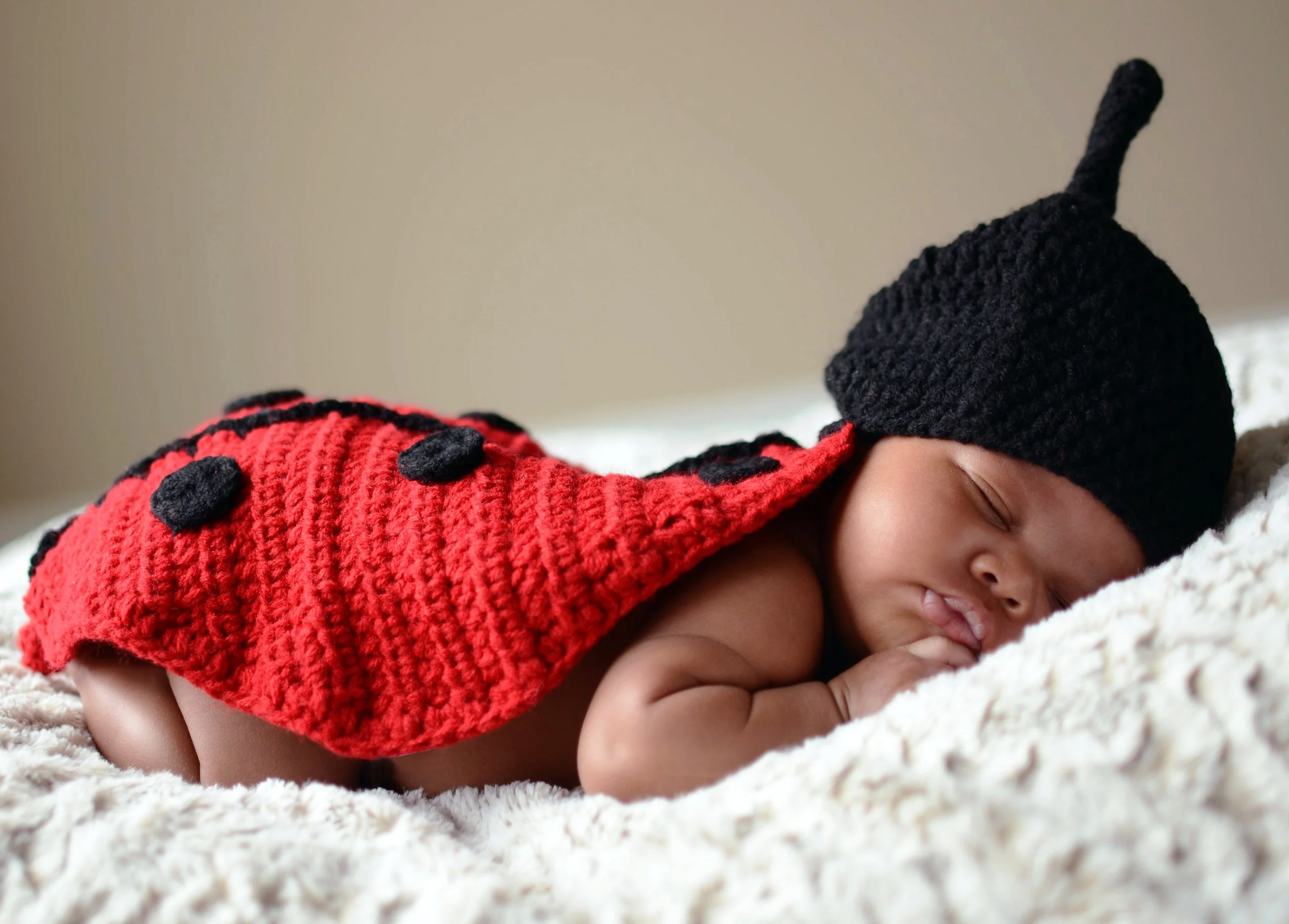 ladybug2.jpg