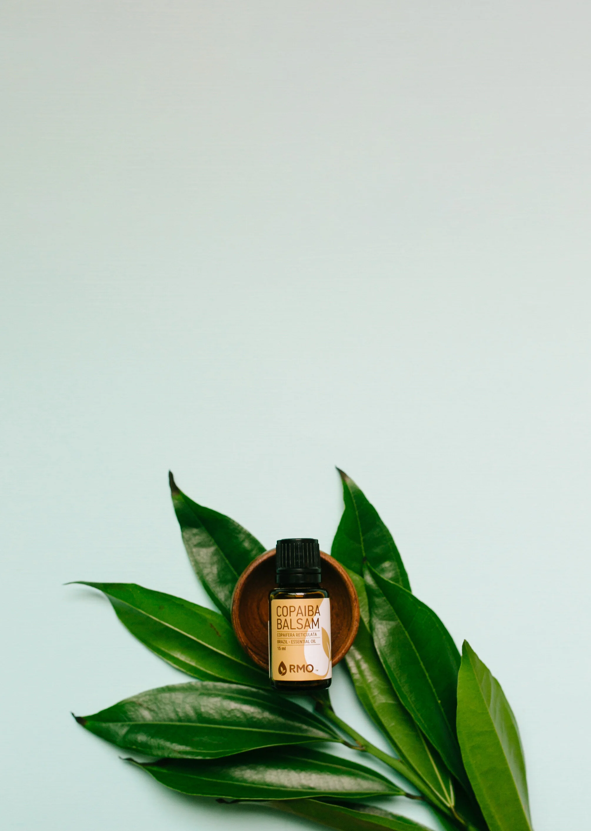 CopaibaBalsam.JPG