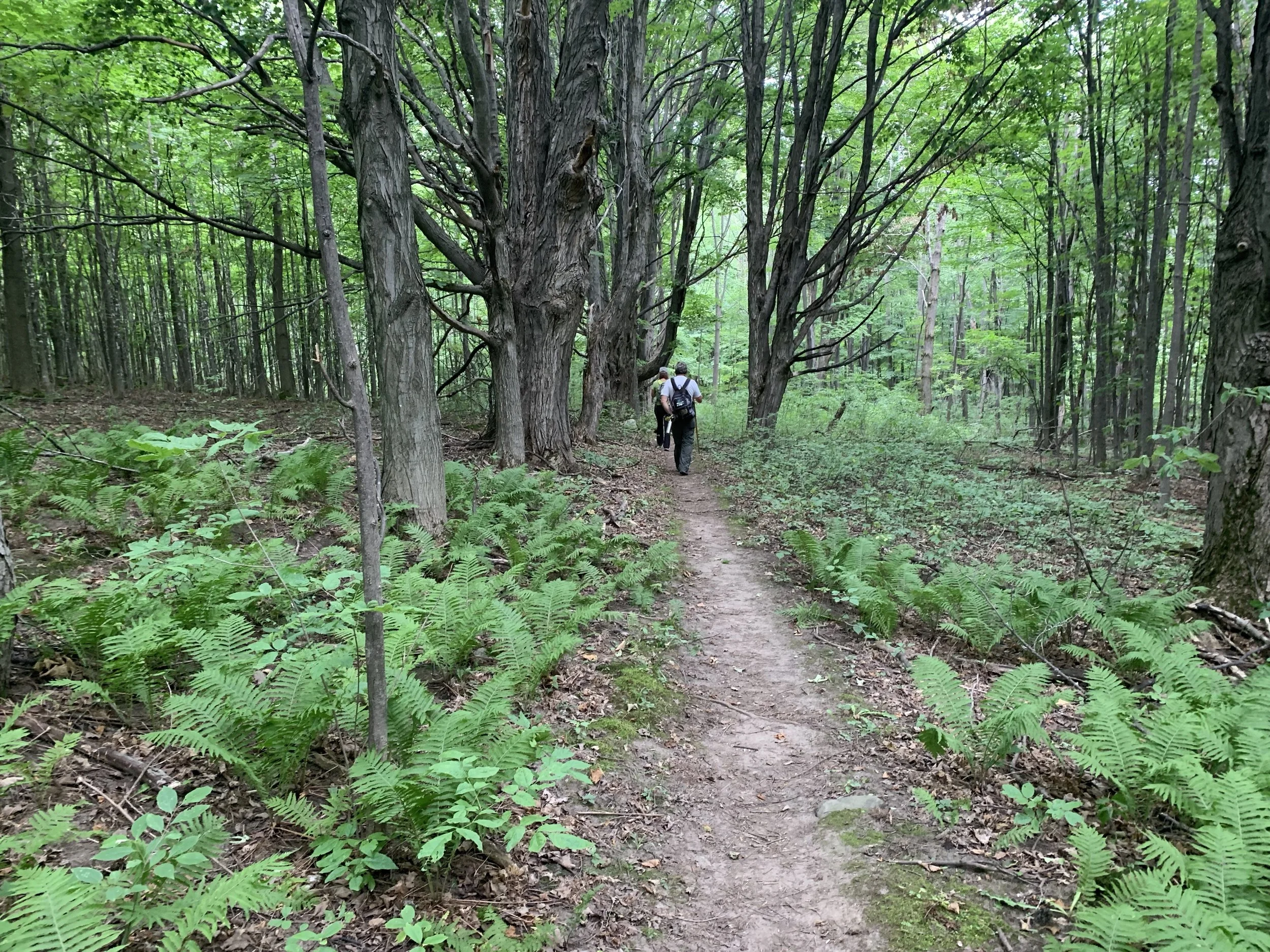 Post 1 - And so we continue