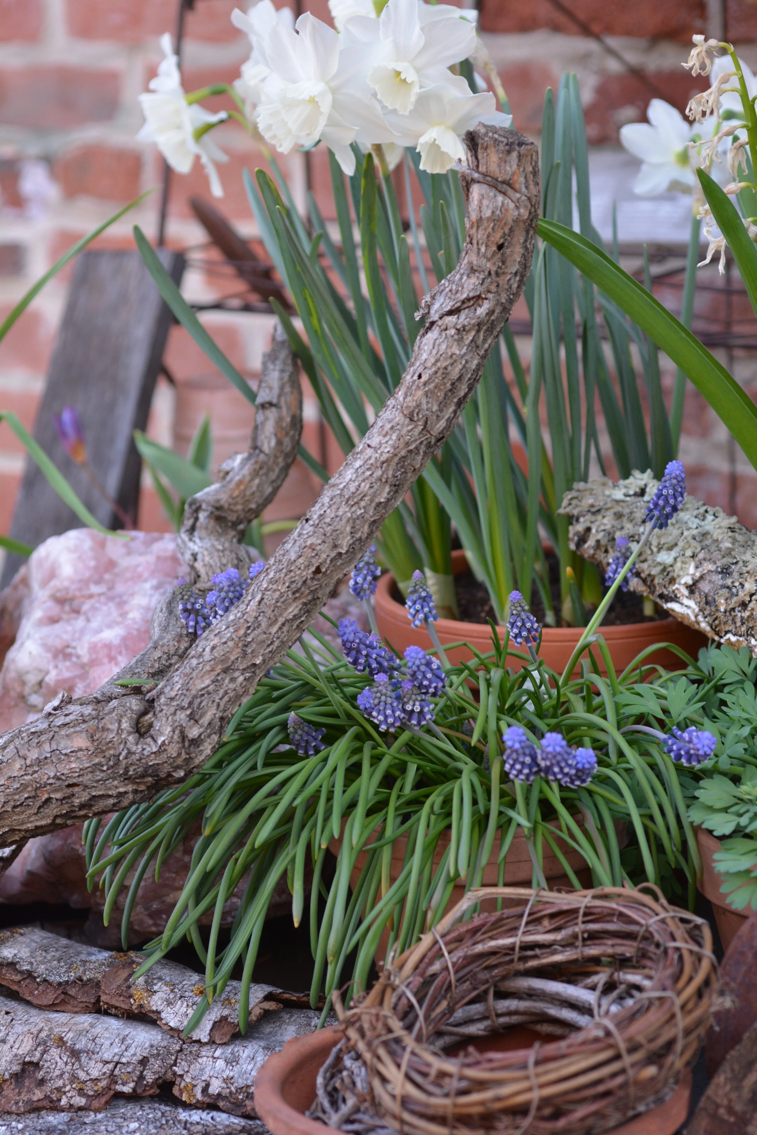 Easter Saturday pop-up