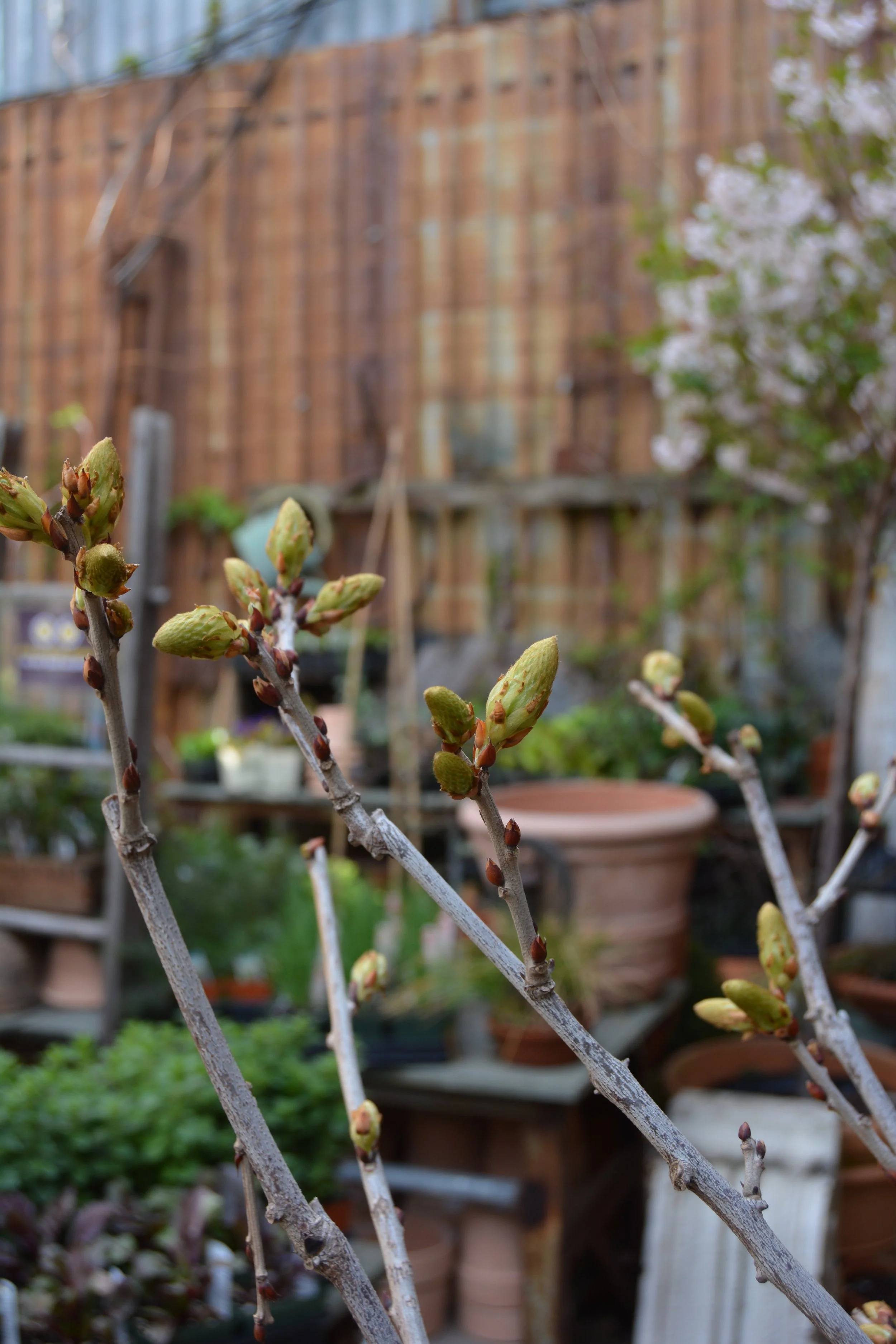 EASTER WEEKEND BROOKLYN POP-UP