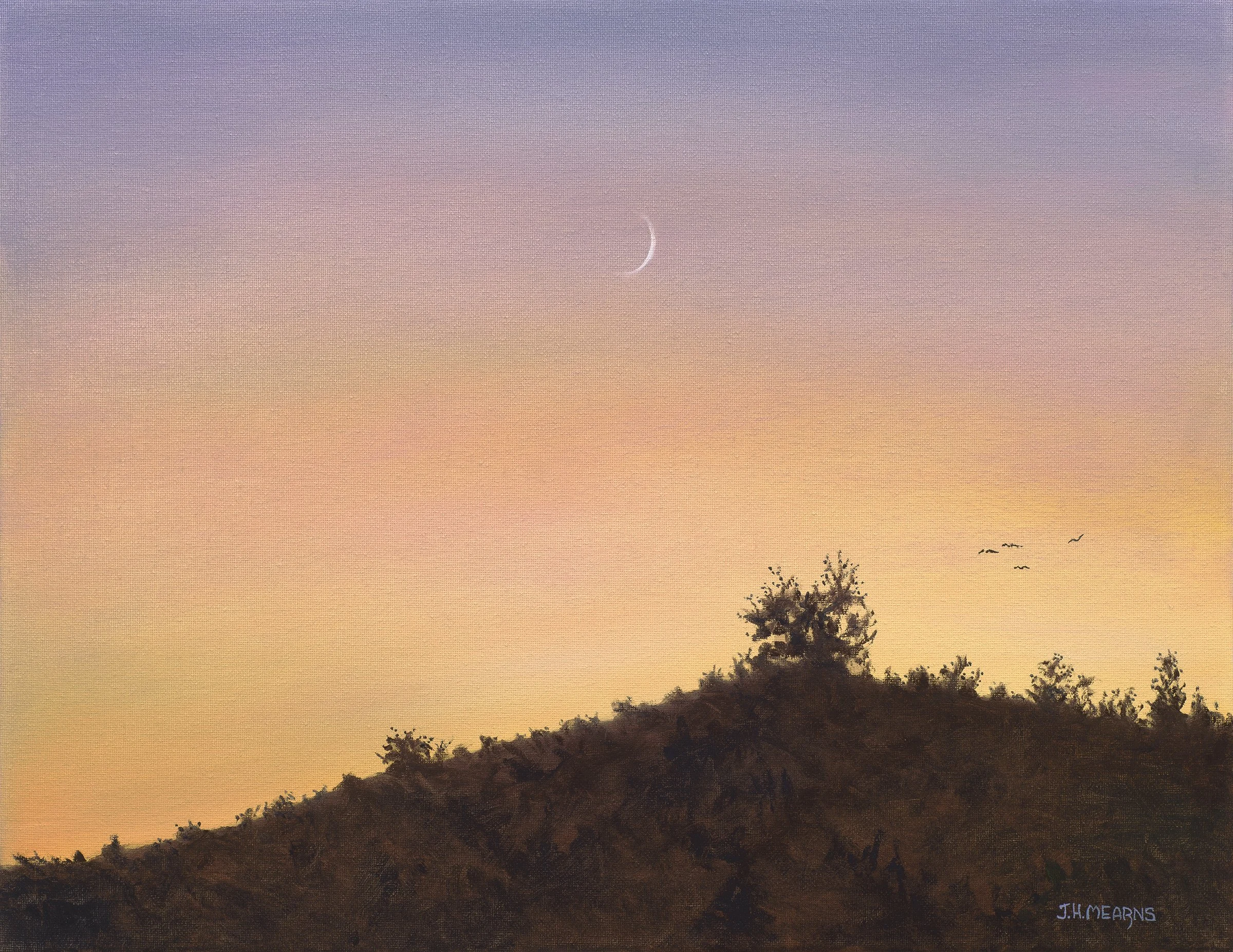 Nepenthe Moon