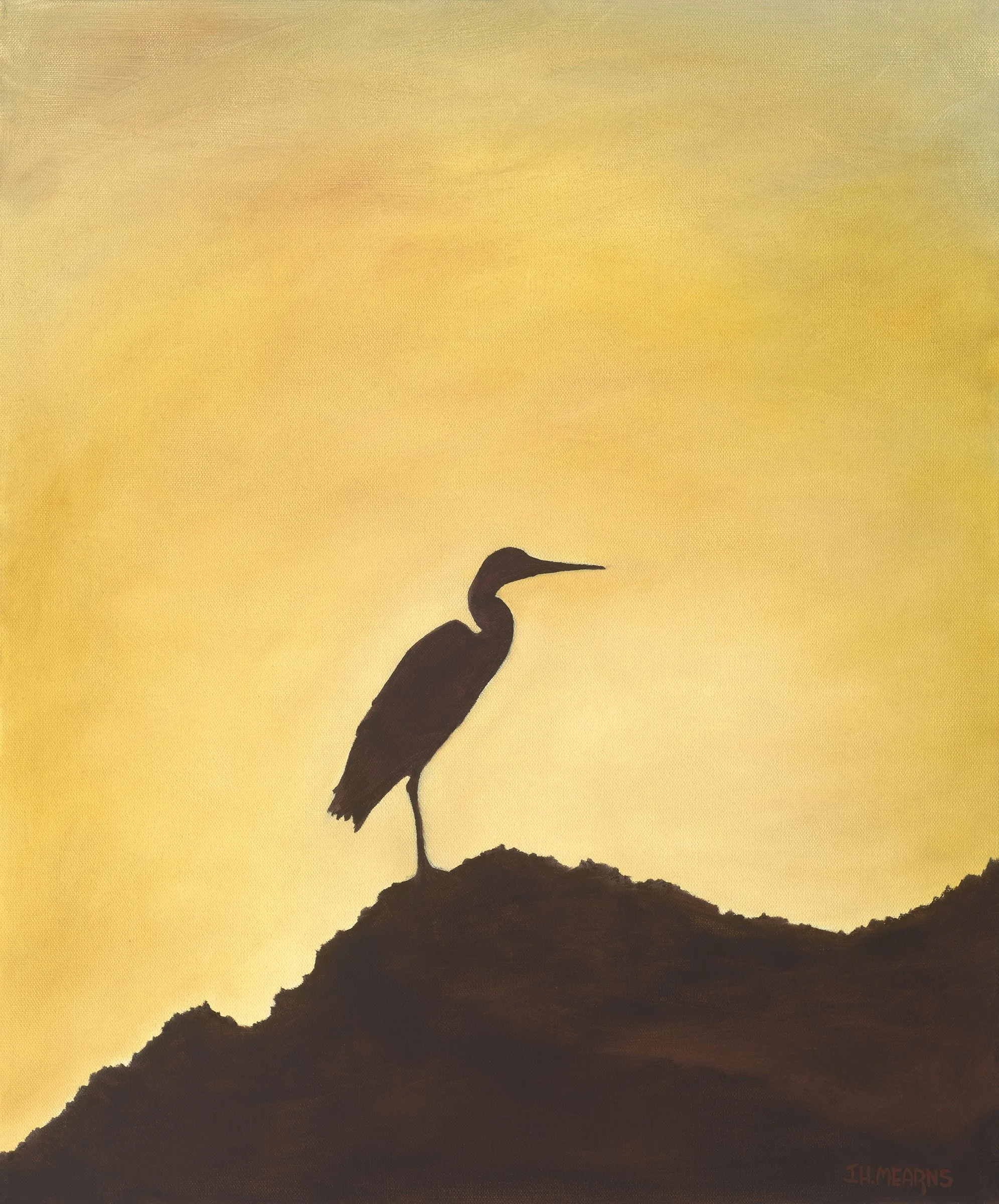 🆕 LONE HERON